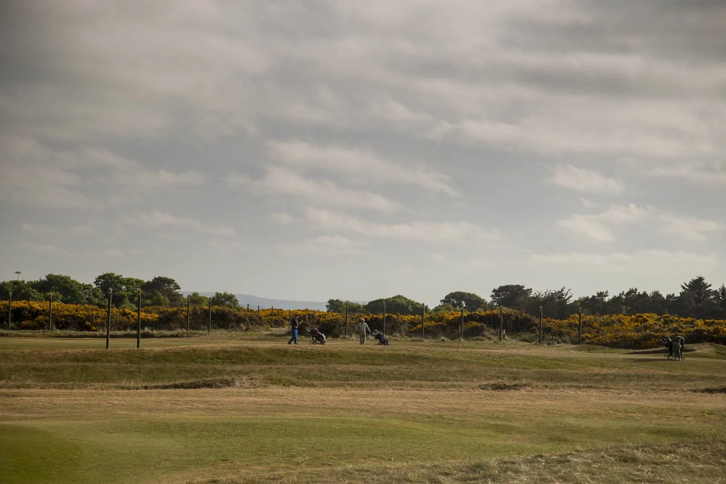 People playing golf on a golf course with a landscape of bushes and trees under a cloudy sky.