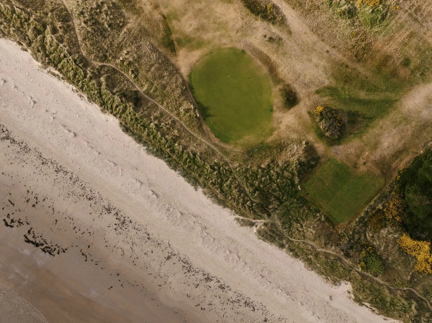 Aerial view of a beach shoreline with sand, green grassy areas, and trees