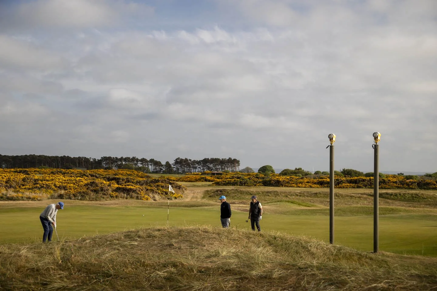 Three people playing golf on a course, with two standing on a green and one preparing to putt, under cloudy skies, with a backdrop of yellow-flowered bushes and distant trees.