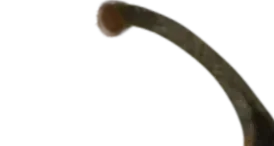 Close-up of a snake with its head slightly curved, showing its textured scales.