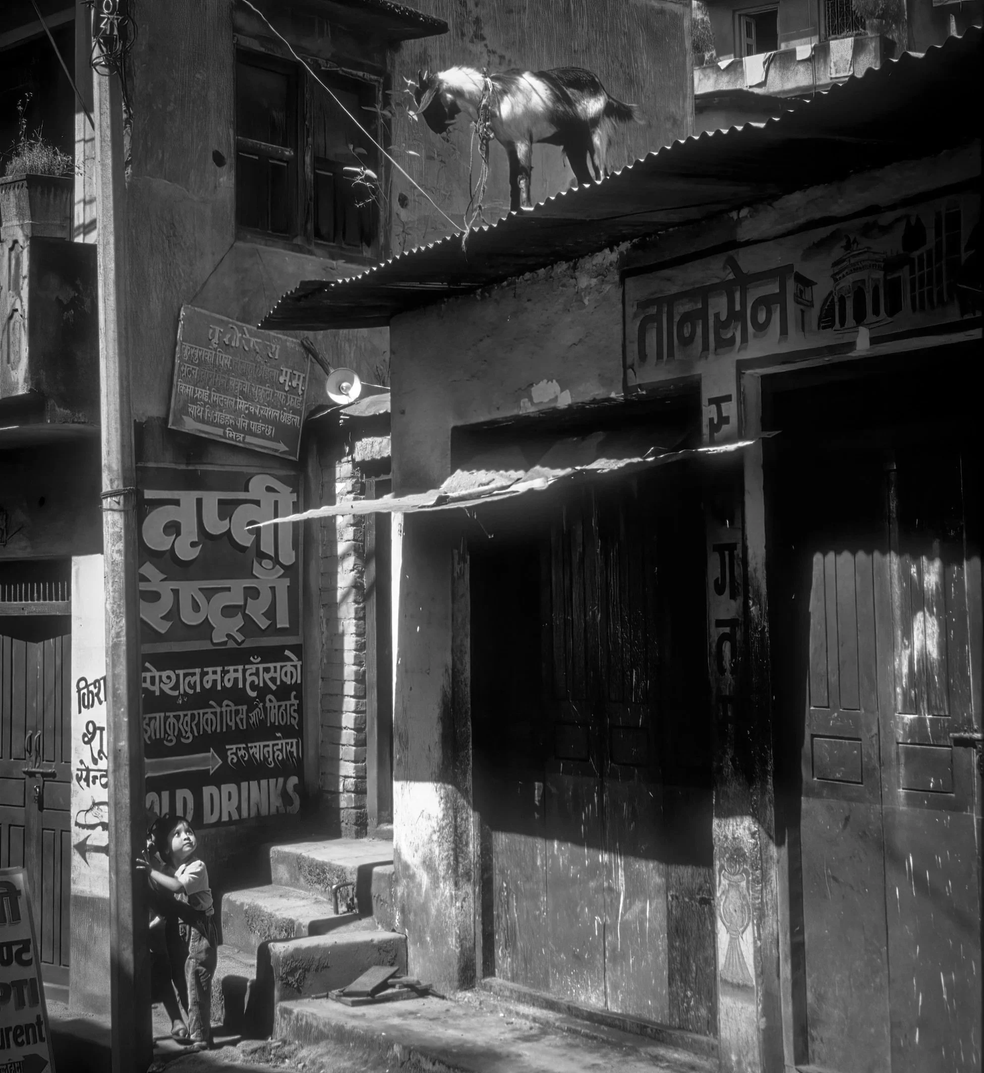 Nepal016-DeNoiseAI-clear.jpg