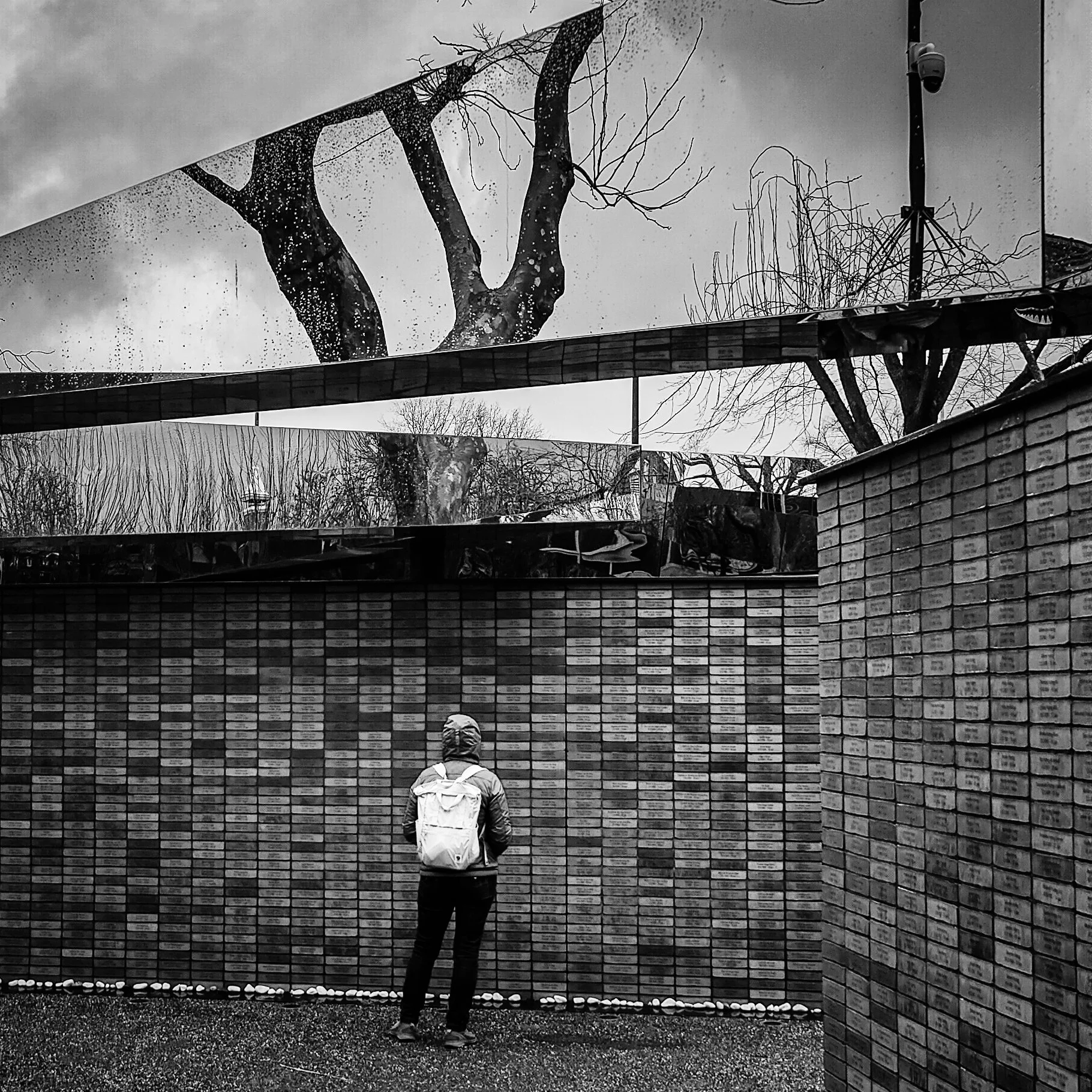 IMG20231229105855 (1).jpg