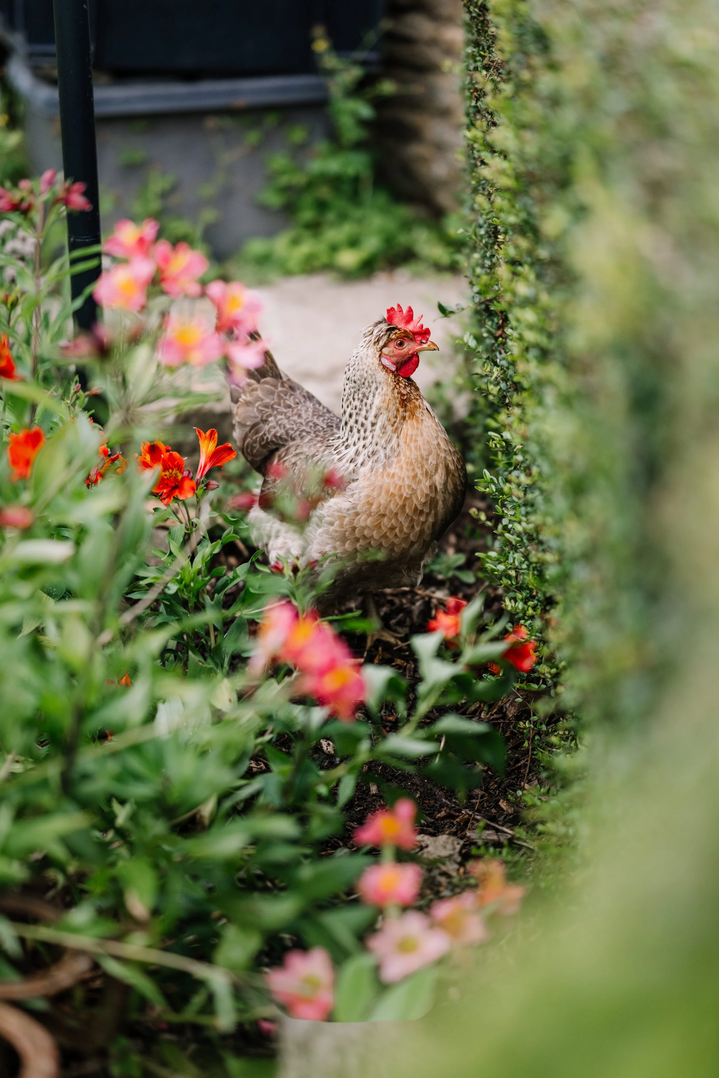 A Greener Way to Say ‘I Do’: Sustainable Weddings at Oxleaze Barn