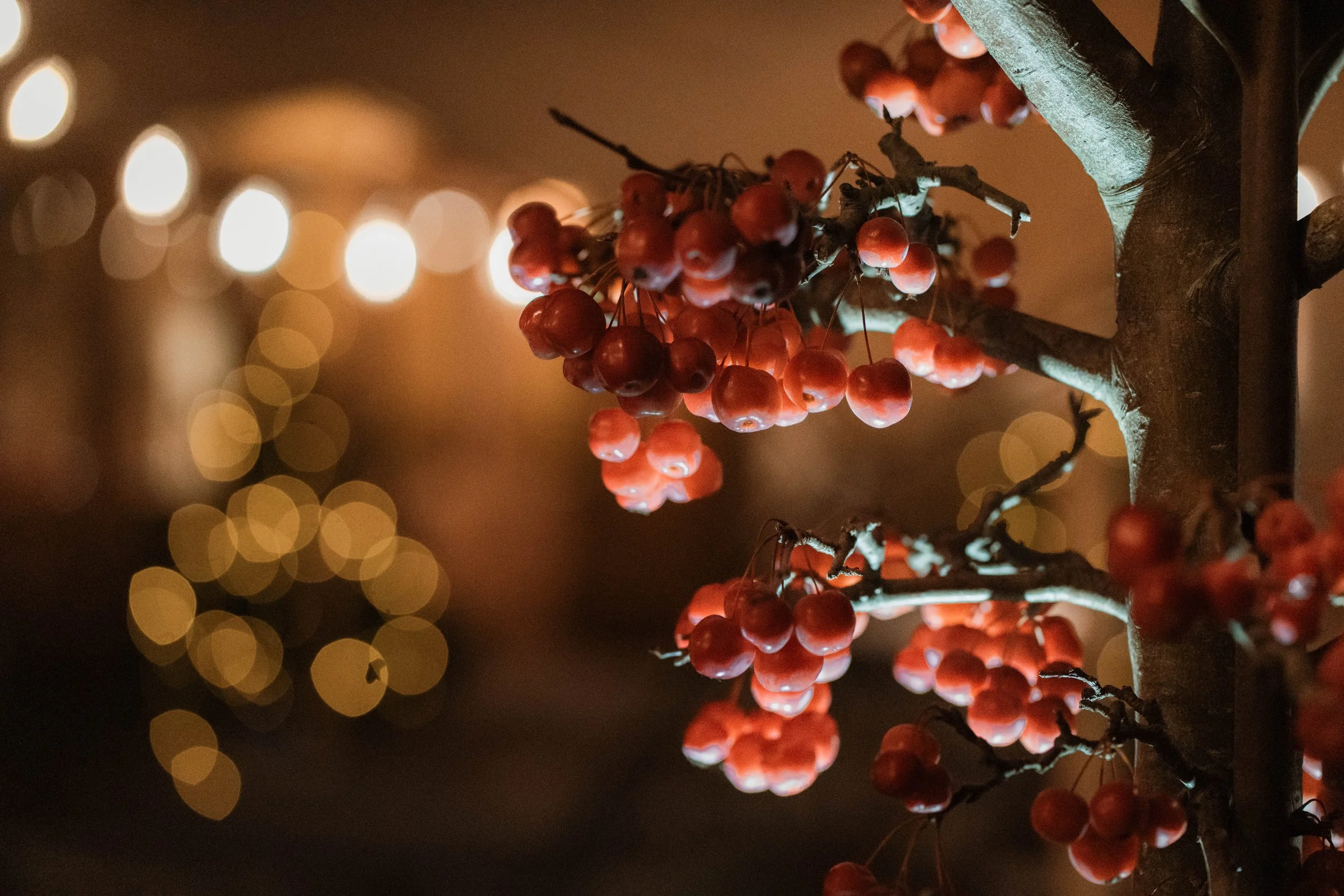 Festive foliage and lights during Christmas at Oxleaze Barn