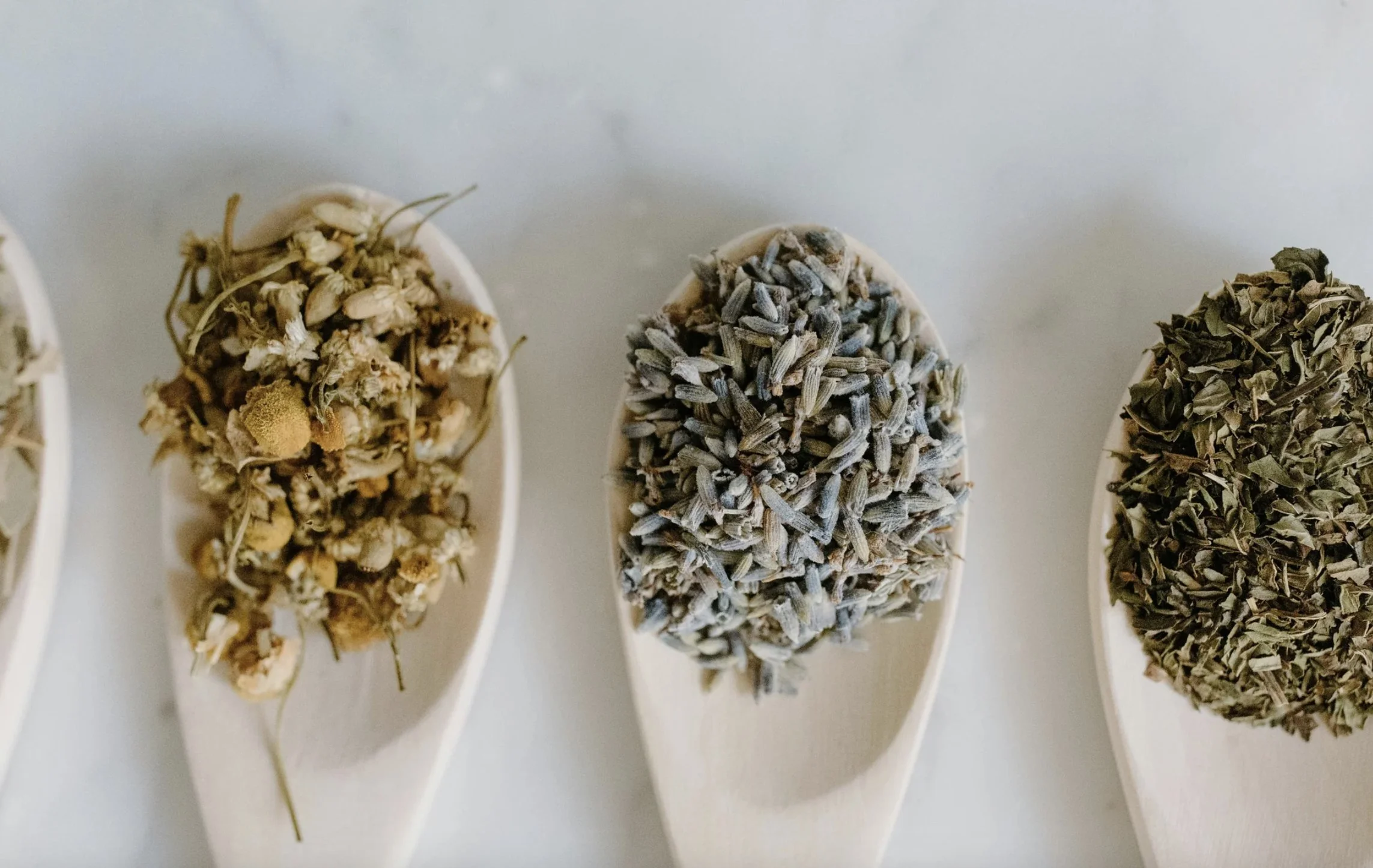 Add-On: Culinary & Herbal Support