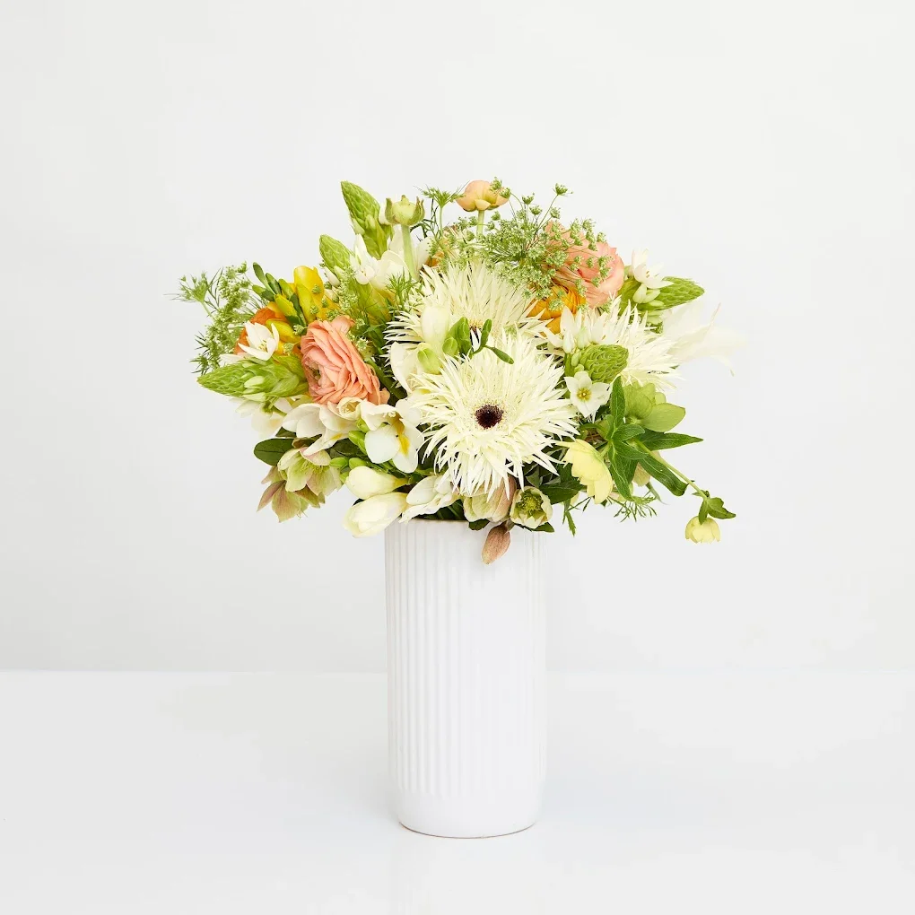 the flower party sydney flower delivery dahlia.webp