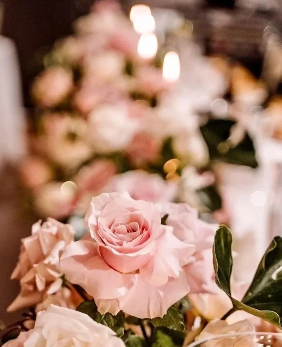 Close-up of a pink rose with blurred background of other flowers and warm lights.