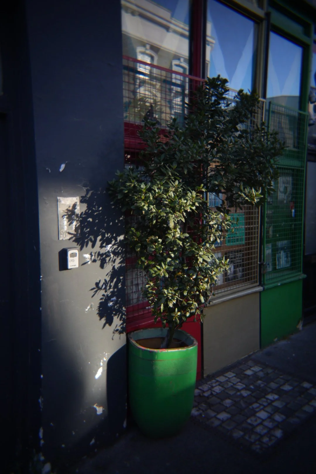 DSC05714.jpeg