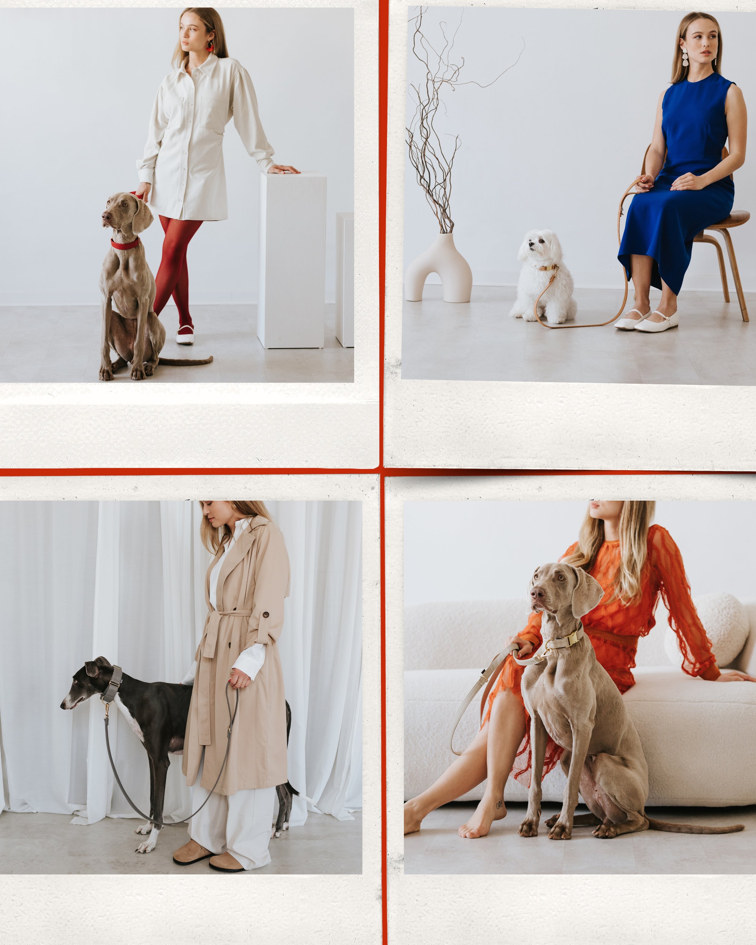 estilismo para la sesión de fotos de la marca Brott Barcelona que hacen accesorios para perros