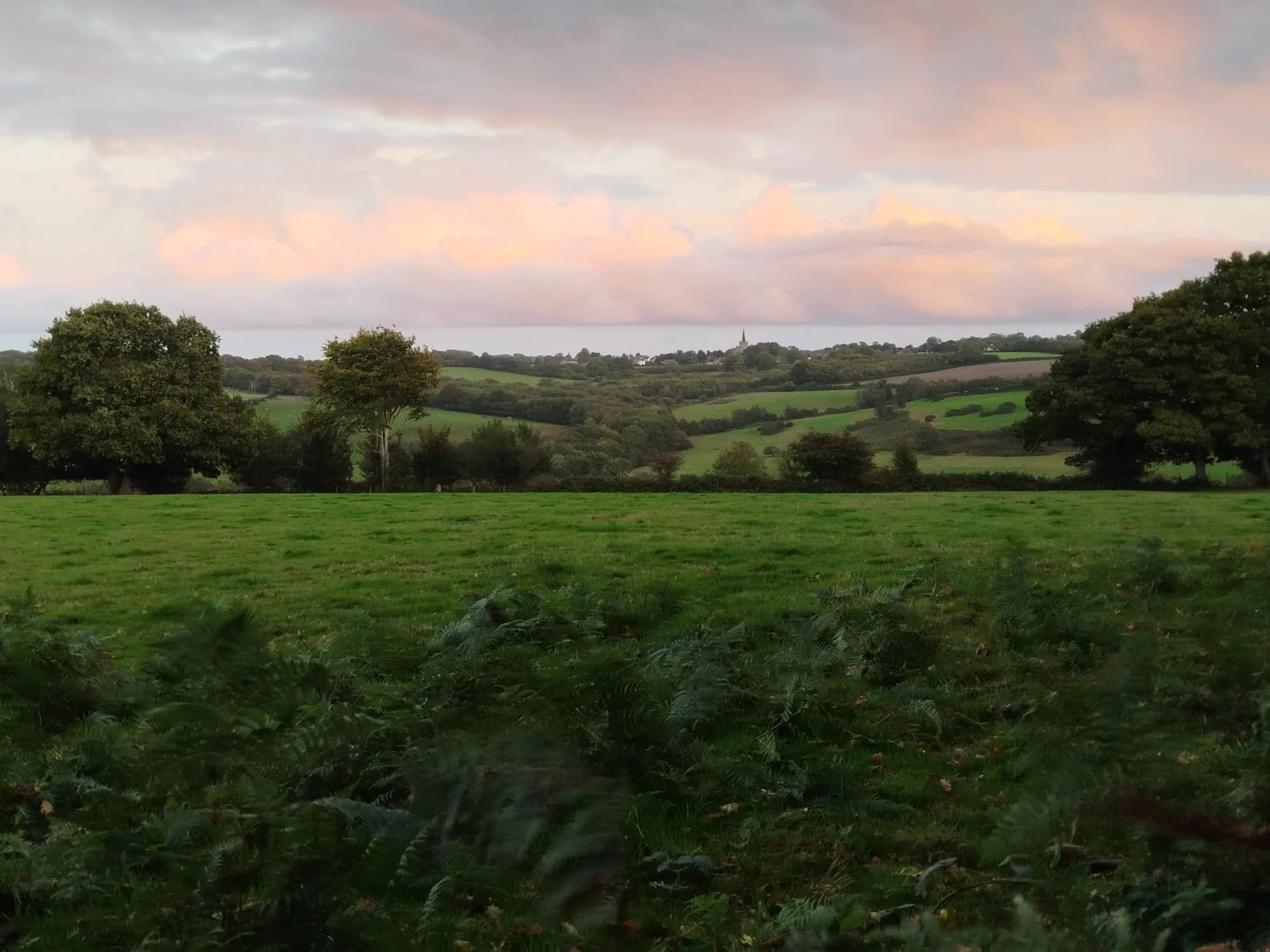 A scenic landscape of rolling green hills and trees with a pink and blue sky at sunset.