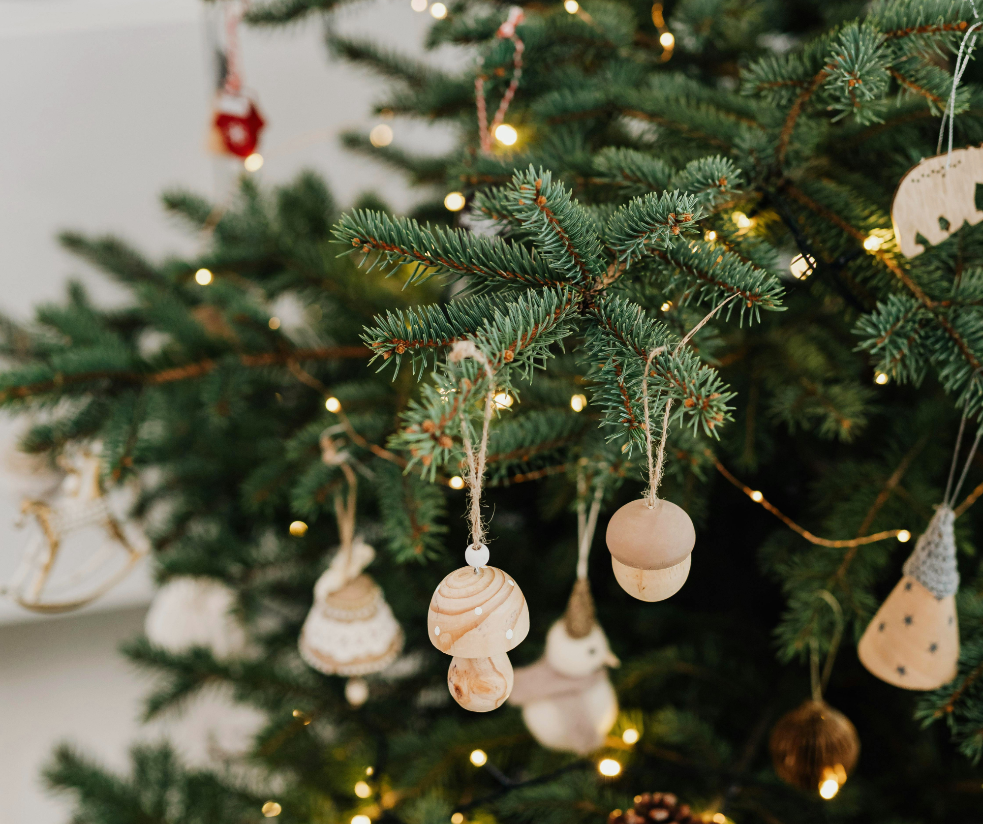 Christmas Party for Parent Carers and their children (aged under 18)