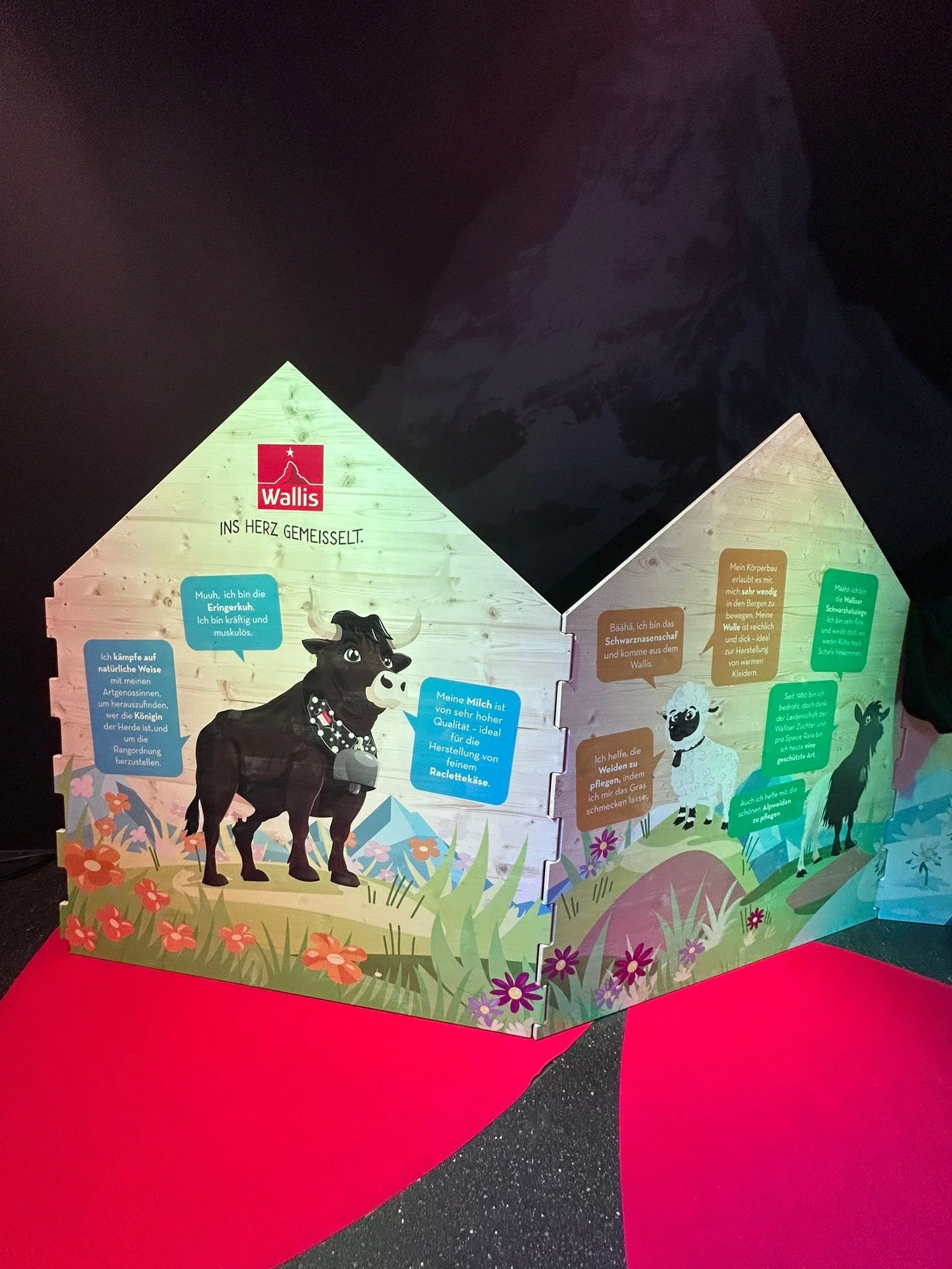 Deux panneaux en bois illustrée d'une vache et d'un moutons avec des bulles qui contiennent des informations pédagogique et ludiques.