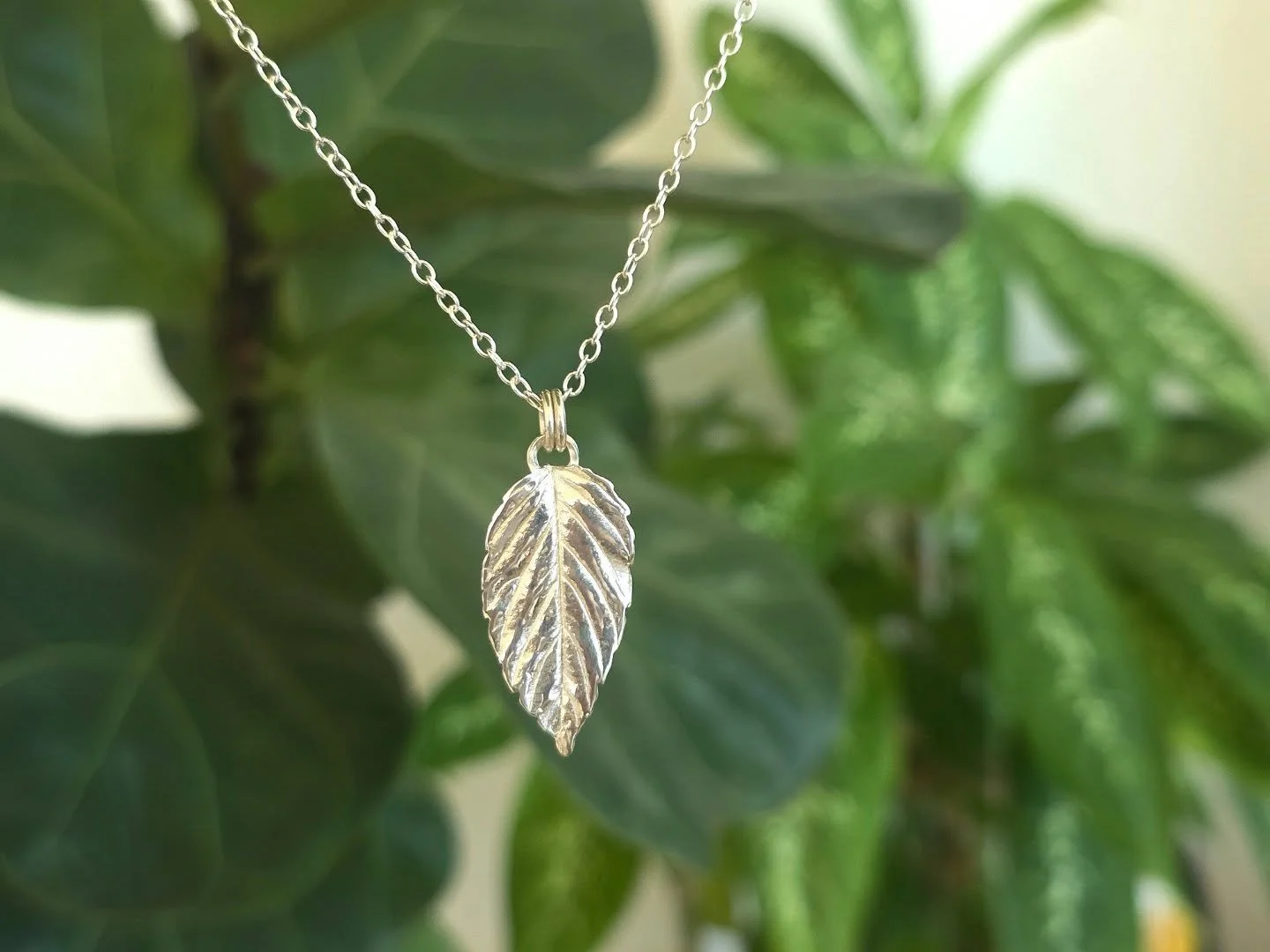 The Atherton leaf pendant.
Created from an actual leaf, from the native Atherton Raspberry bush we've been growing for a couple of years.
The process essentially involves painting layers of a liquefied fine 999 silver compound onto the leaf, and then