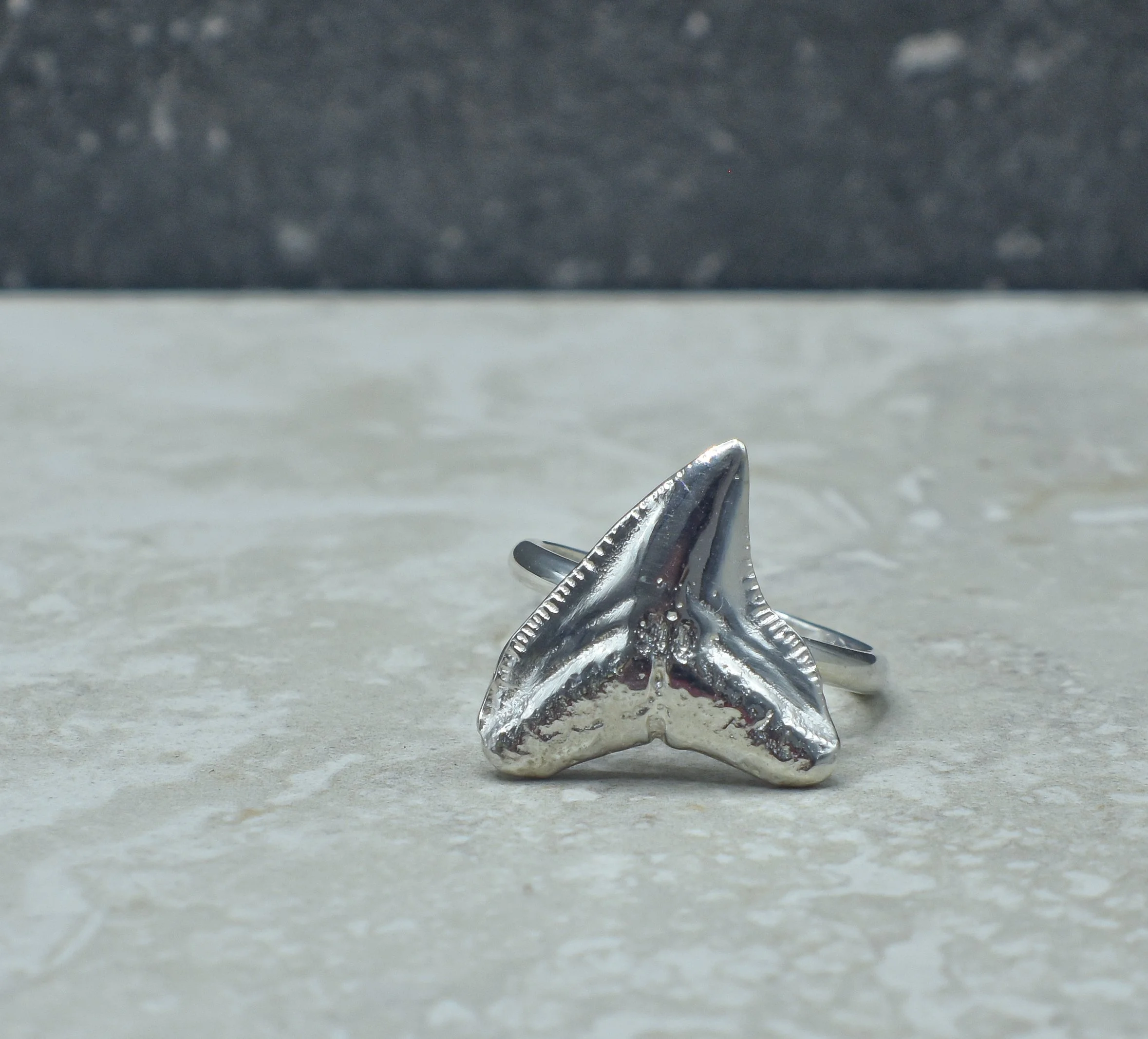 Bull shark tooth ring