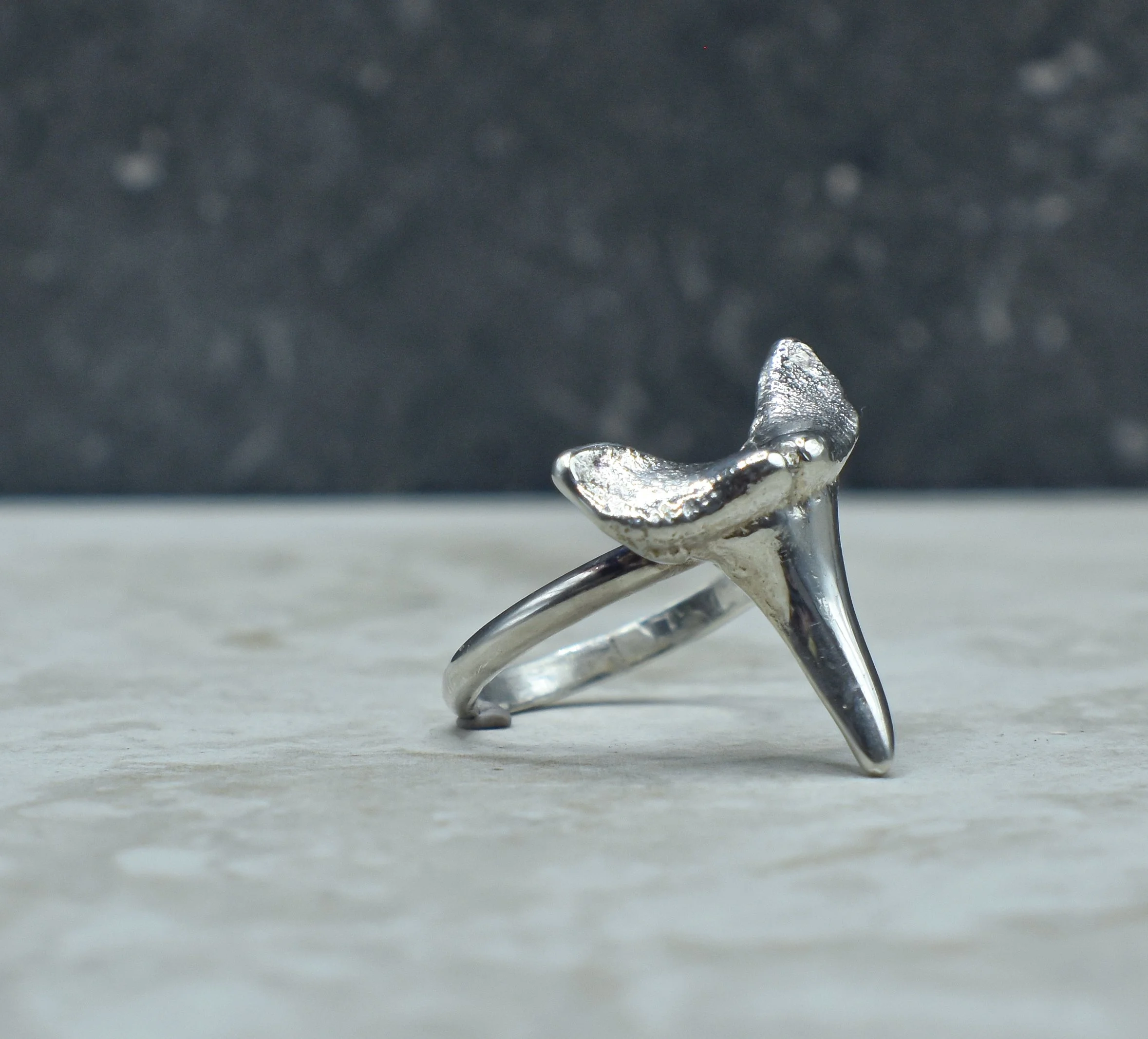 Grey Nurse shark tooth ring
