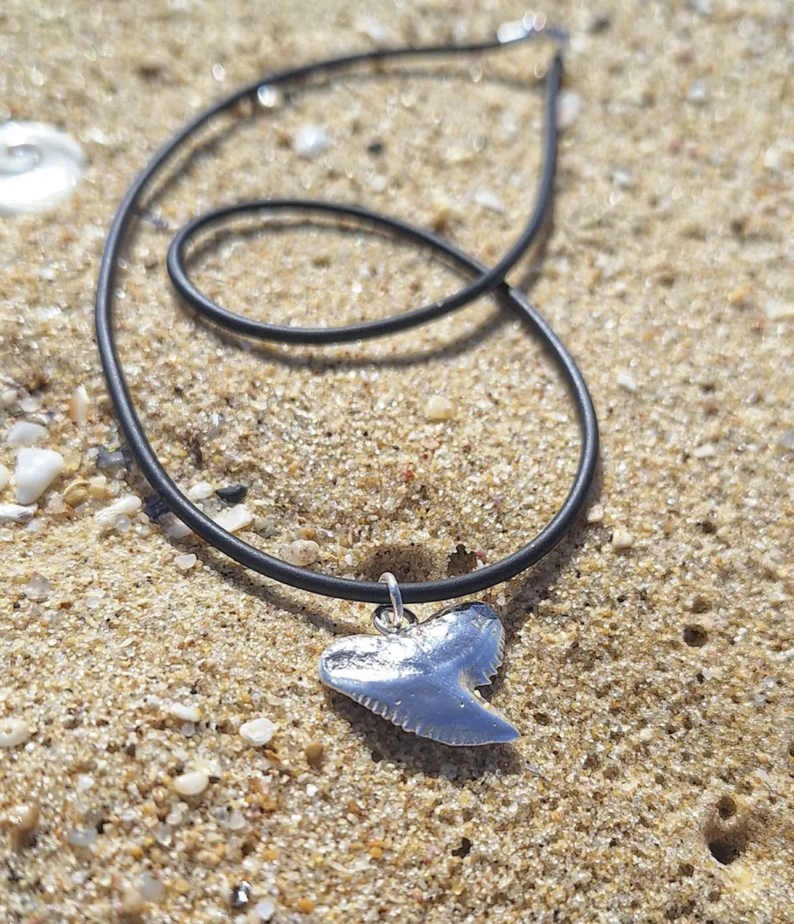 Tiger shark tooth pendant