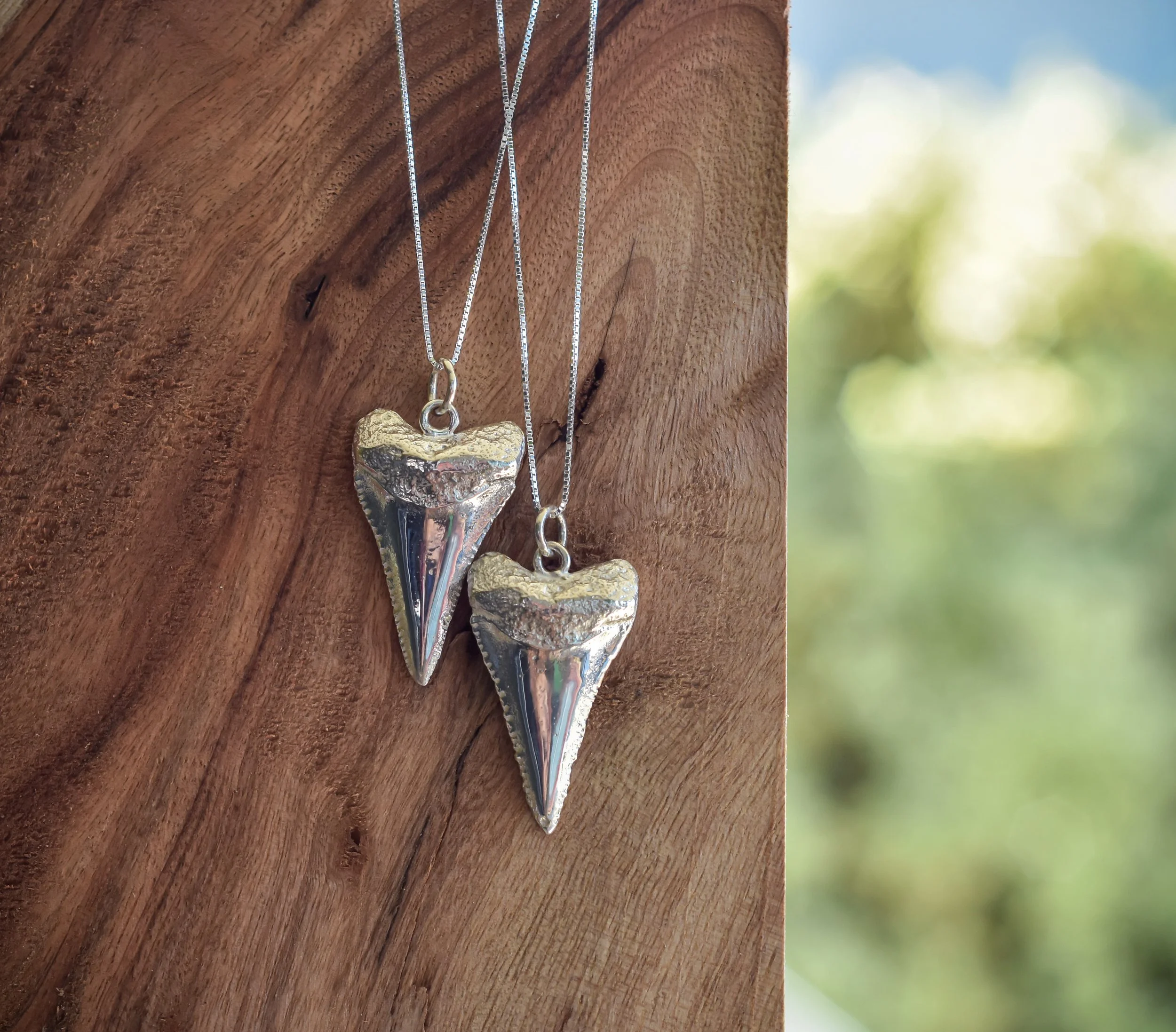 Silver necklace with a pendant shaped like a tooth, hanging against a wooden background, with a blurred outdoor scene in the distance.