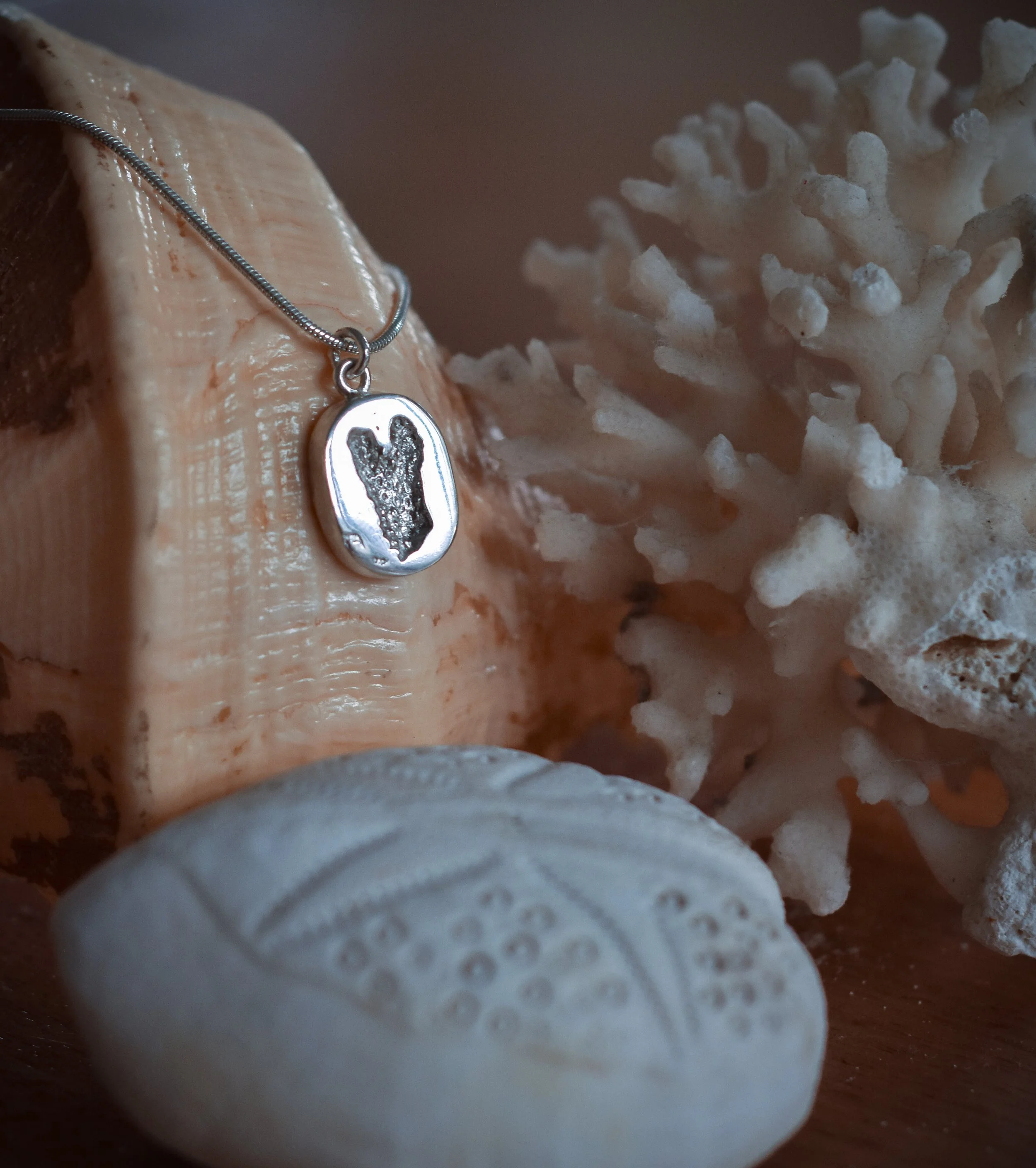 Close-up of a silver necklace with a pendant featuring an abstract black design, resting on a piece of coral and seashells.