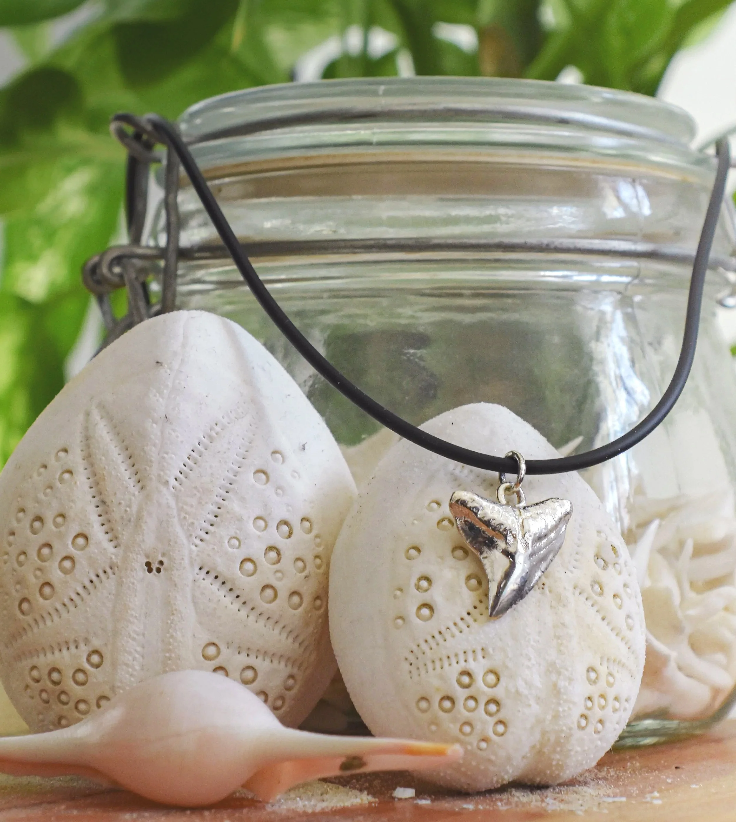 Decorative white eggs with starfish patterns, metal dolphin necklace, seashell, and jar with green plants in the background.