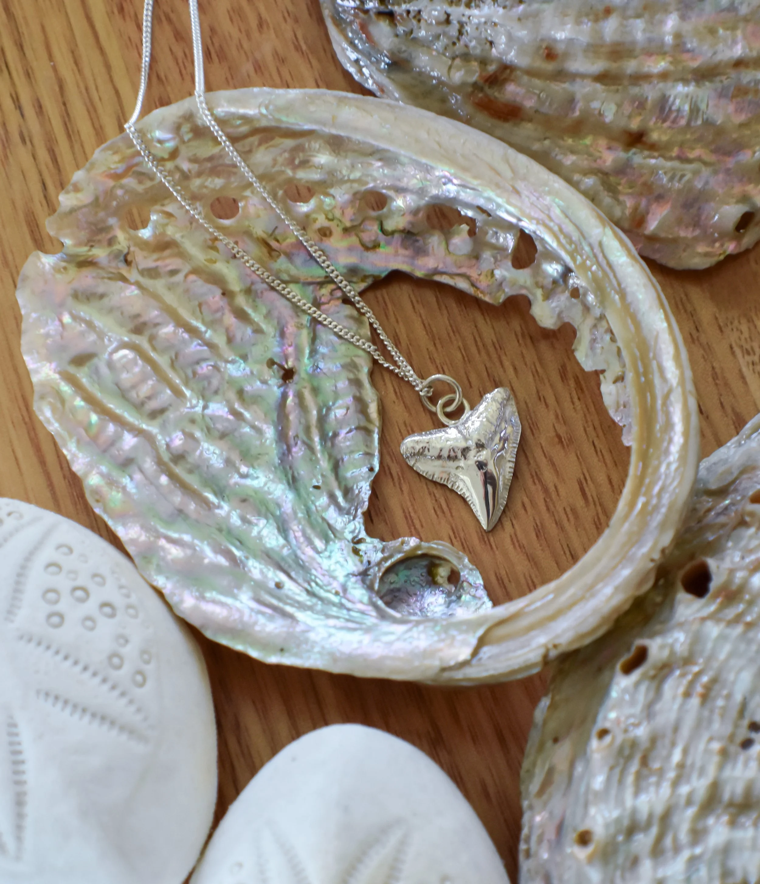 Close-up of iridescent seashells, one with a silver necklace that has a heart-shaped pendant, resting on a wooden surface.