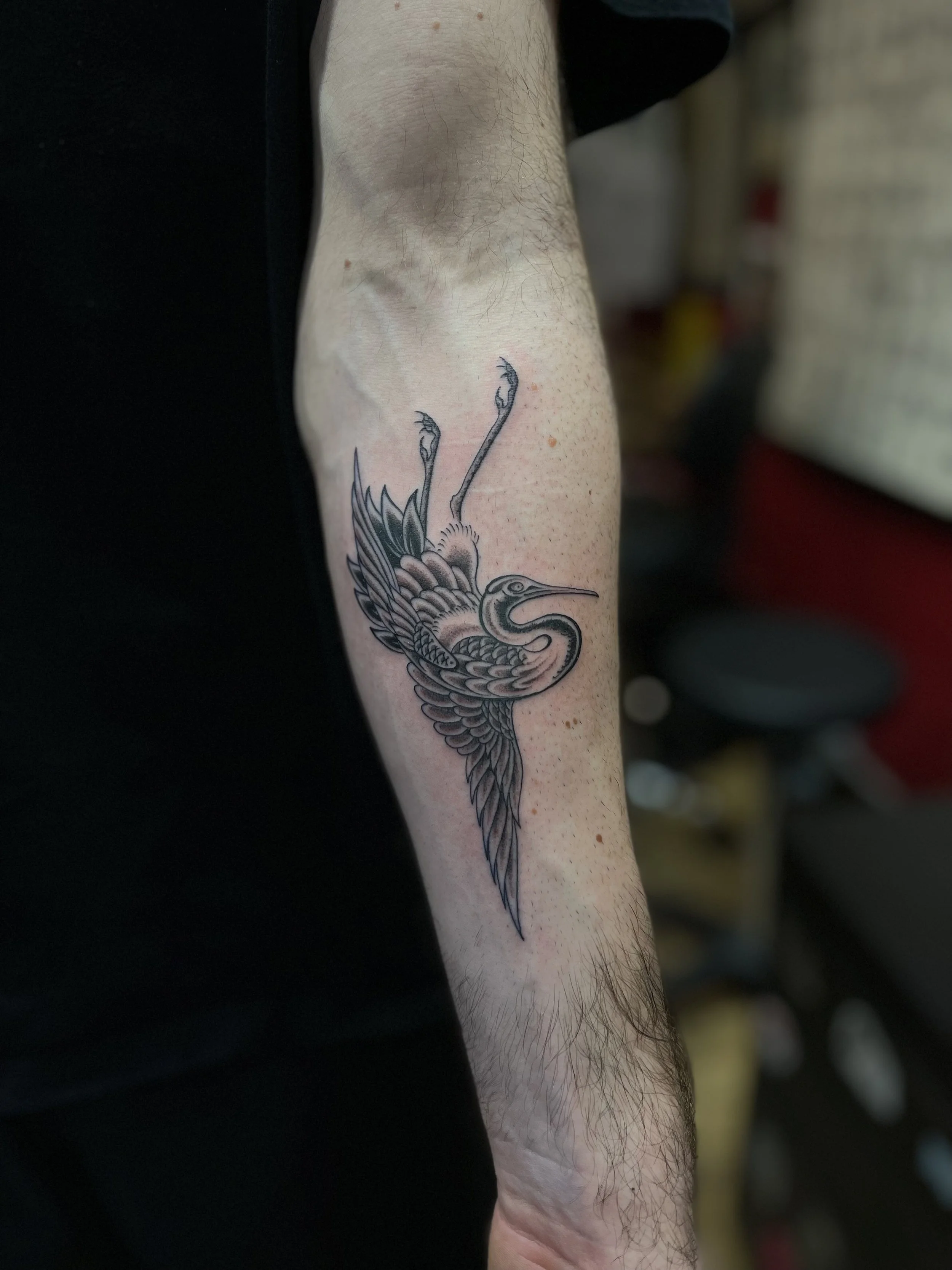 Fine line, black and grey crane tattoo done at Frith Street Tattoos, in Soho, central London.