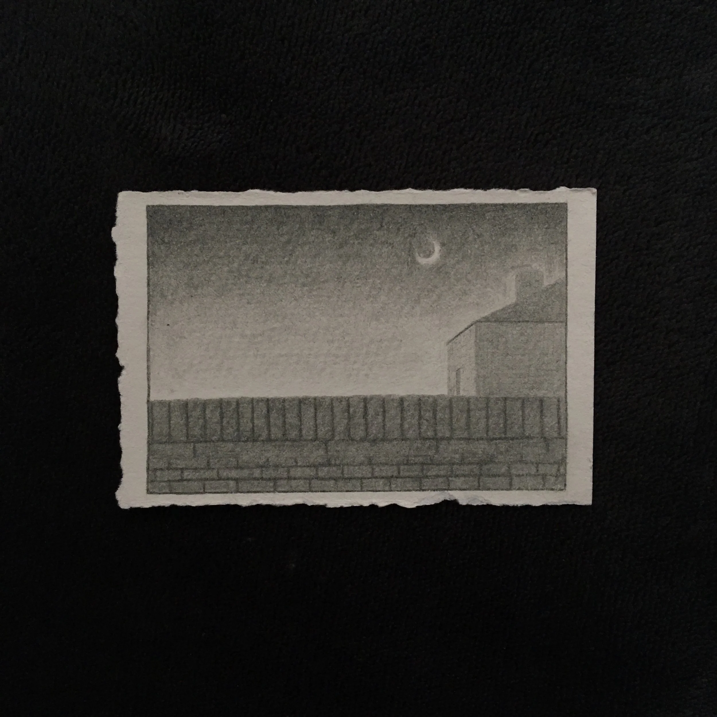 Pencil on paper illustration of a cat walking through a flat.