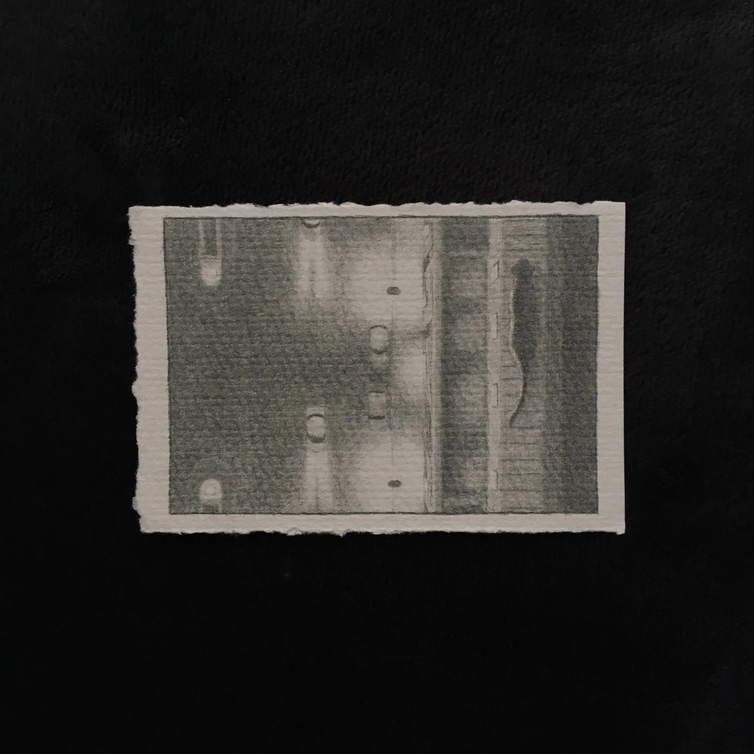 Pencil on paper illustration of a cat walking through a flat.