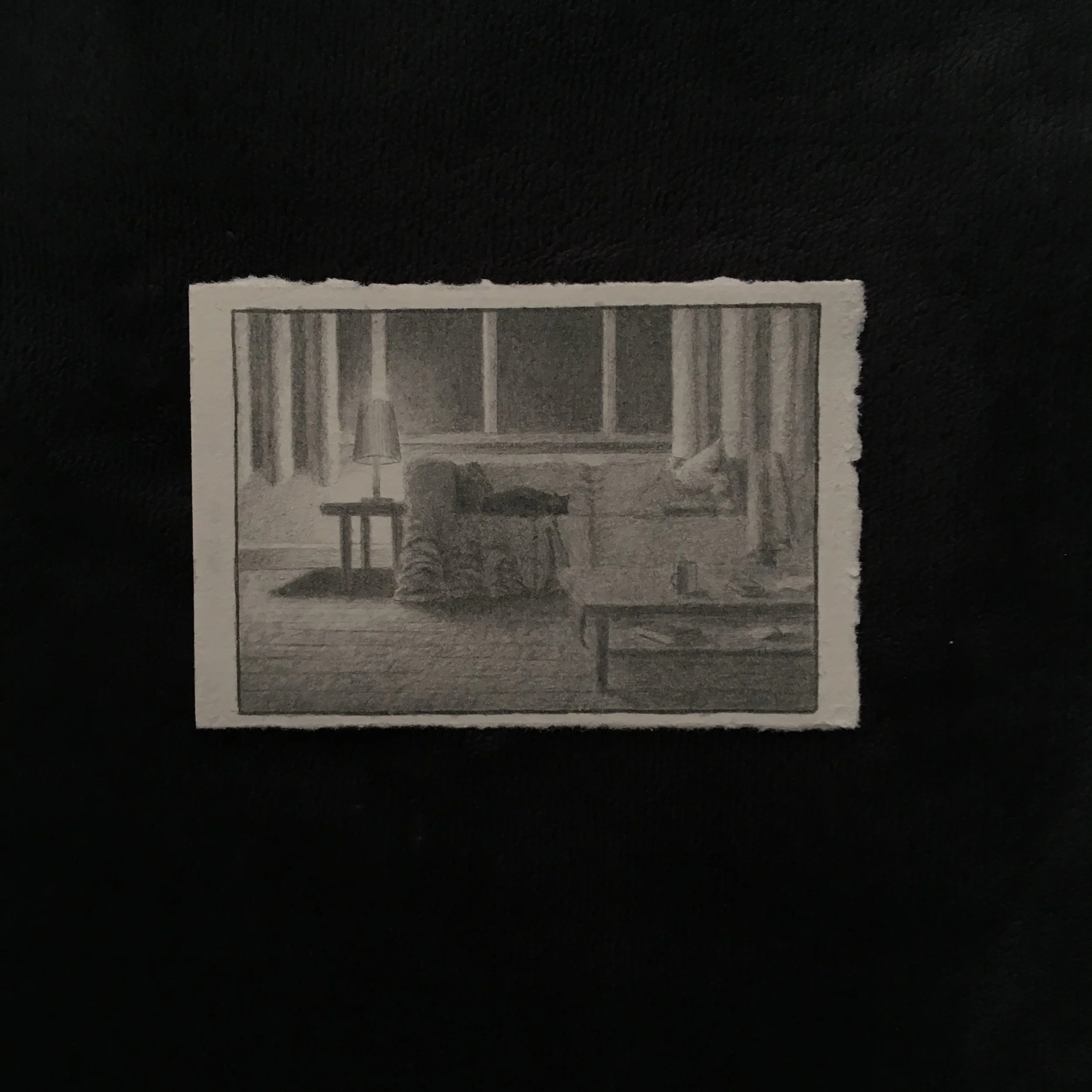 Pencil on paper illustration of a cat walking through a flat.