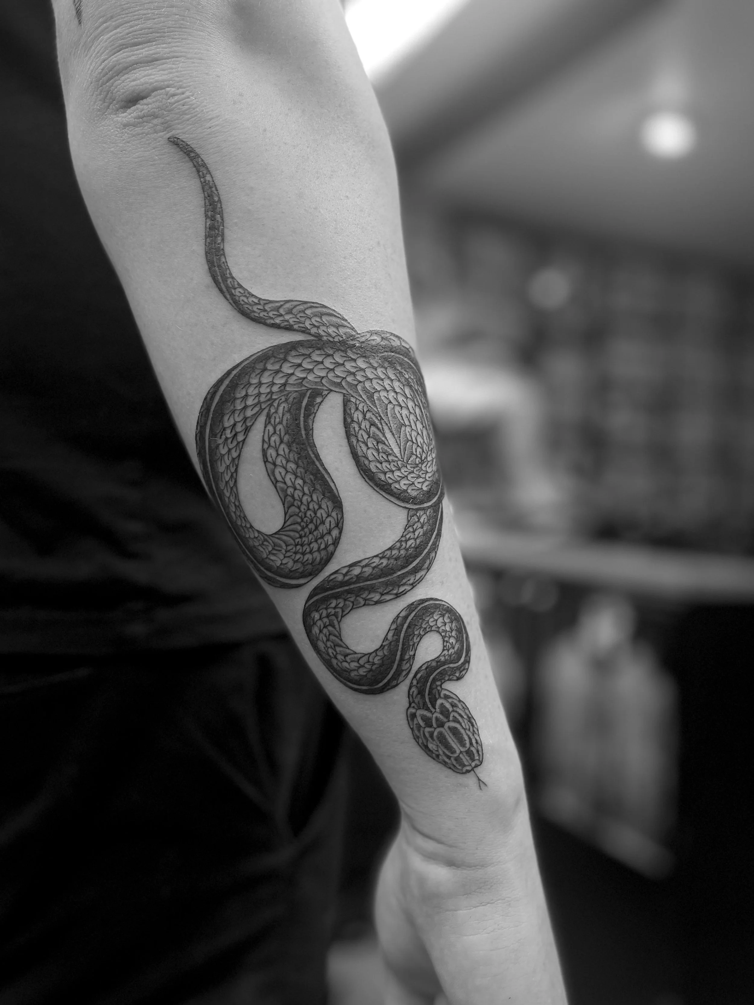 Snake tattoo on the forearm, done at Frith Street Tattoos, soho, central London.