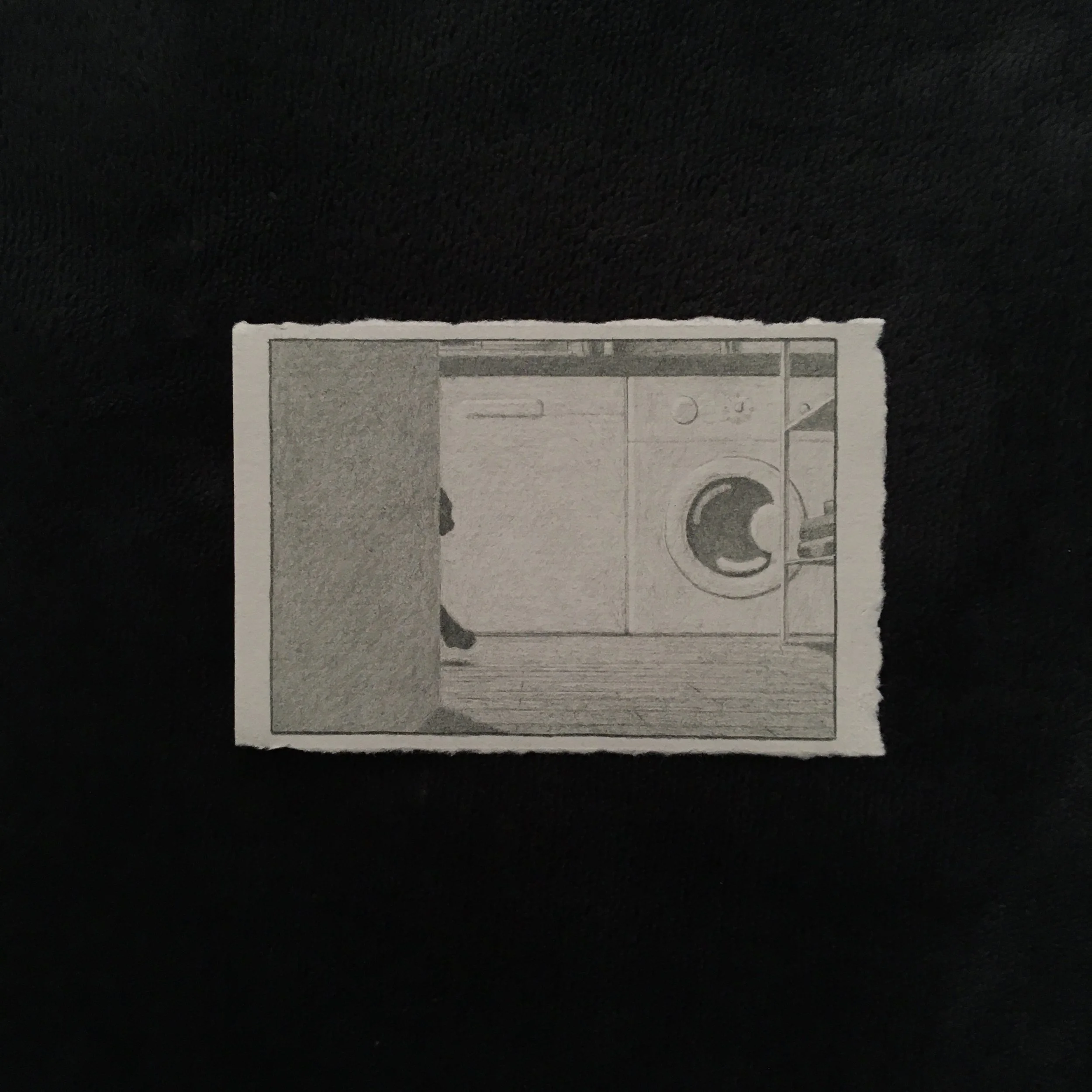 Pencil on paper illustration of a cat walking through a flat.