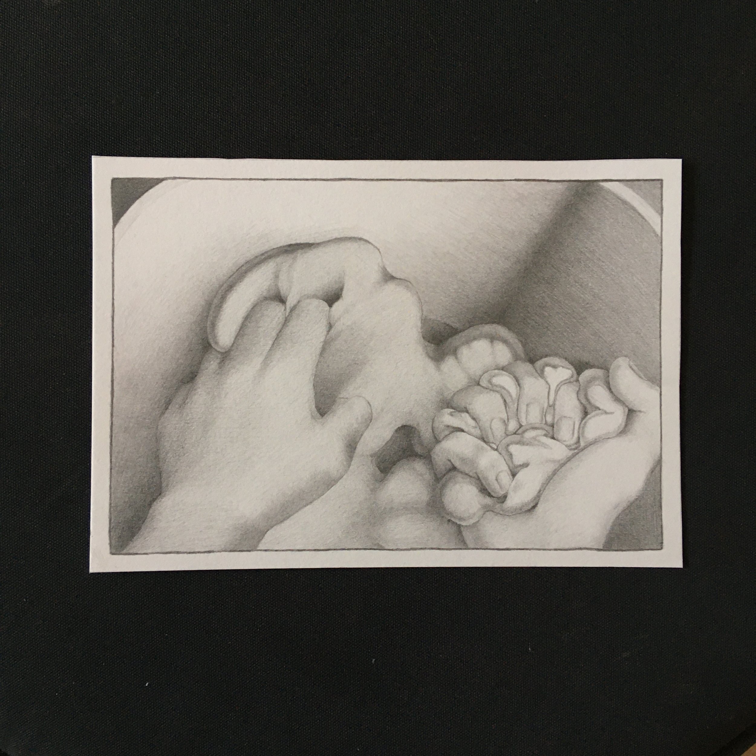 Pencil illustration of baking a loaf of bread during the 2020 covid lockdown.