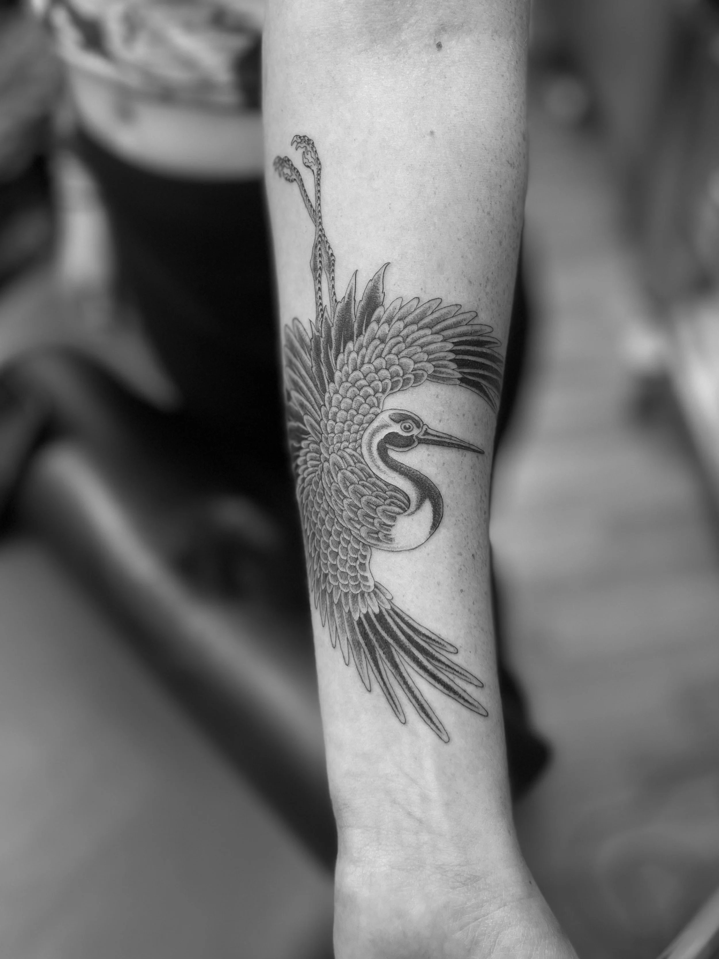 Fine line black and grey crane tattoo on the arm, done at Frith Street Tattoos, Soho, central London.