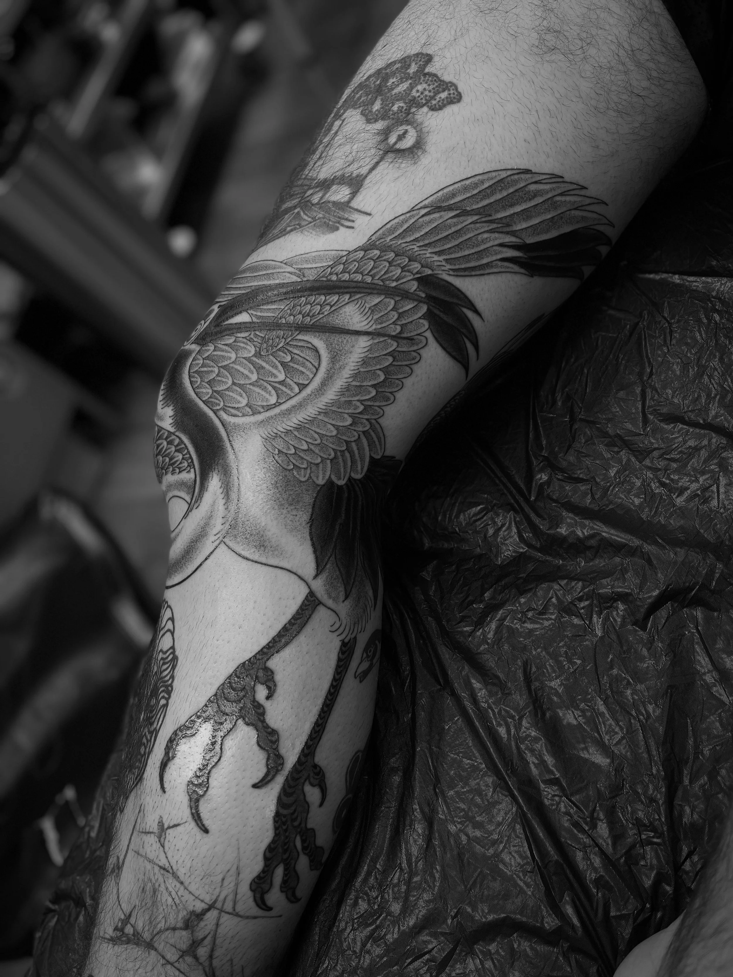 Fine line, black and grey crane tattoo on the leg, done at Frith Street Tattoos, Soho, central London.