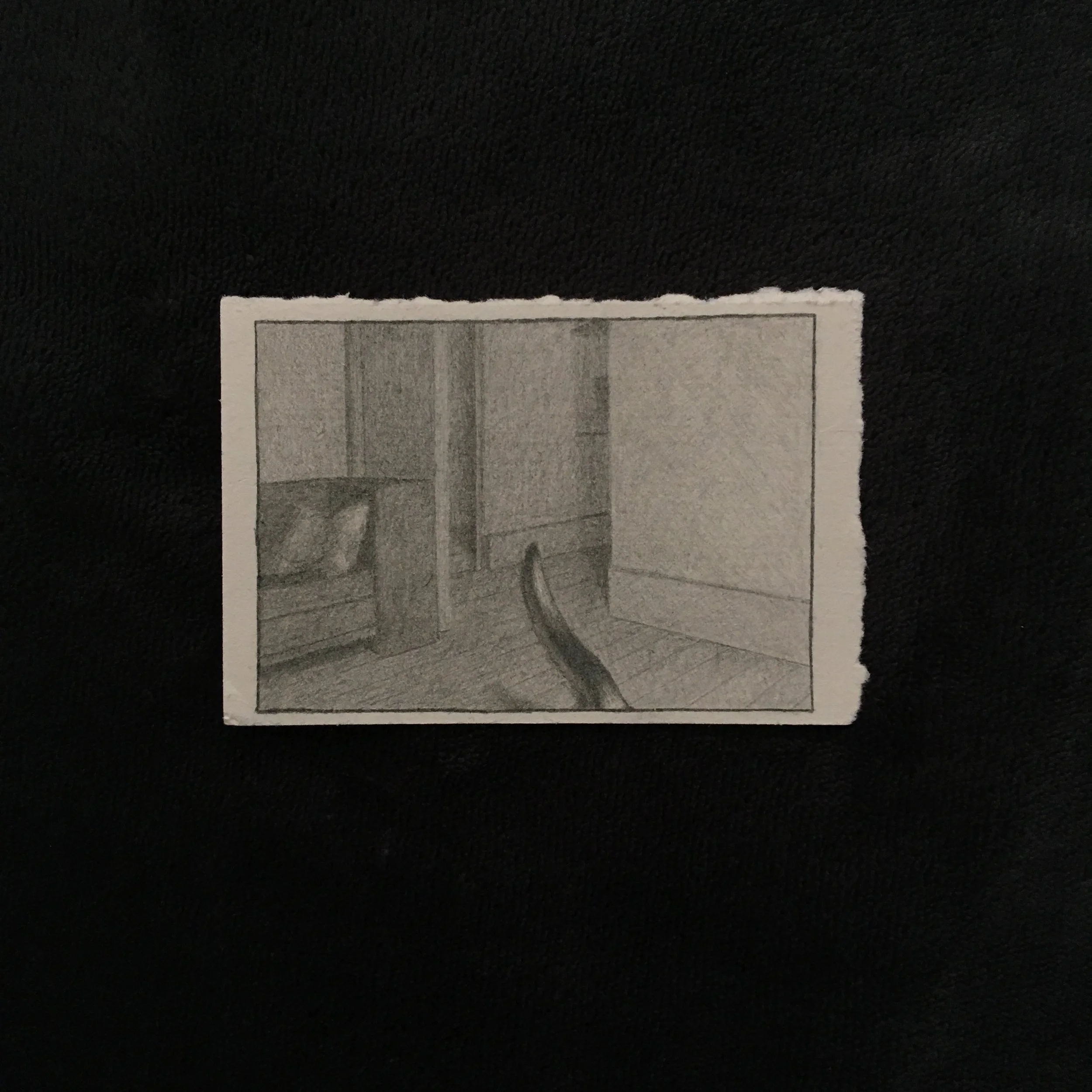 Pencil on paper illustration of a cat walking through a flat.