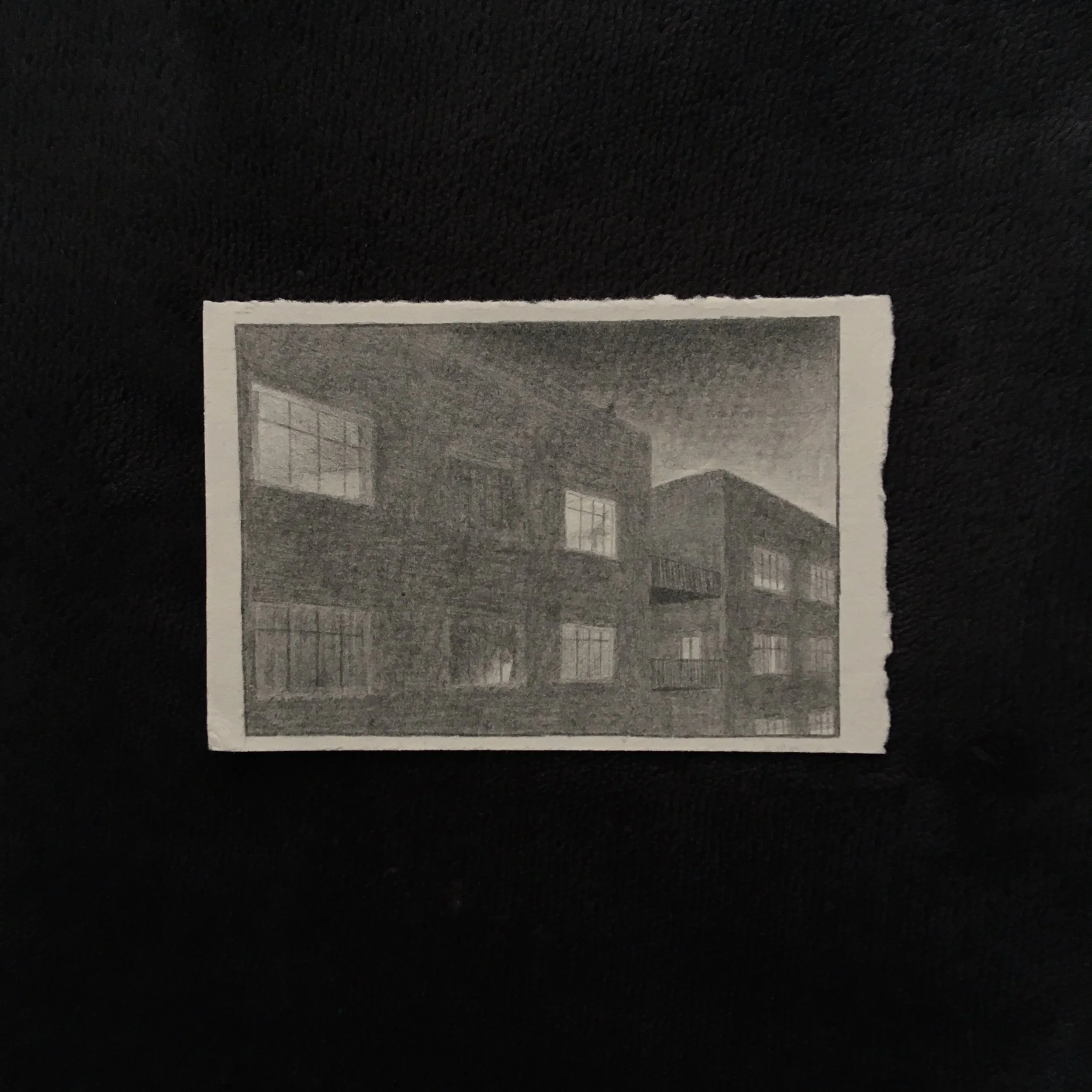 Pencil on paper illustration of a cat walking through a flat.