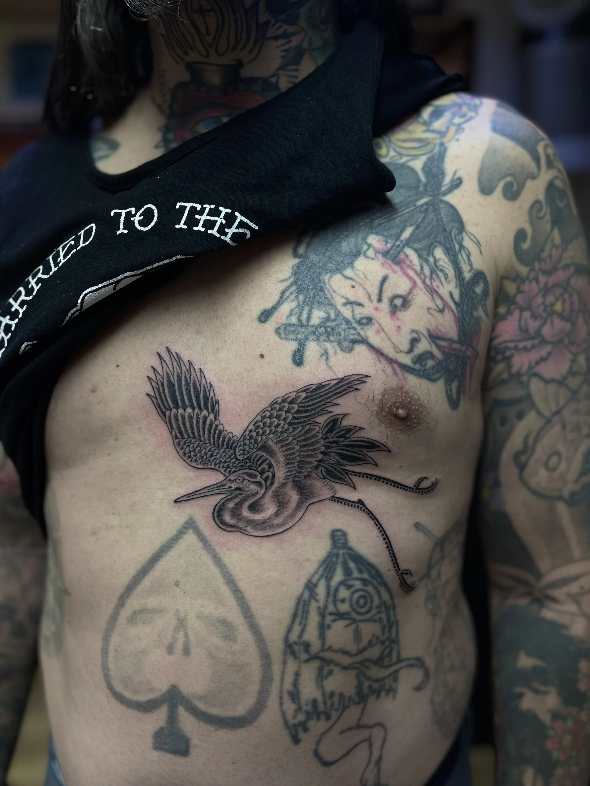 Fine line black and grey crane tattoo on the torso. Done at Frith Street Tattoos, Soho, central London.