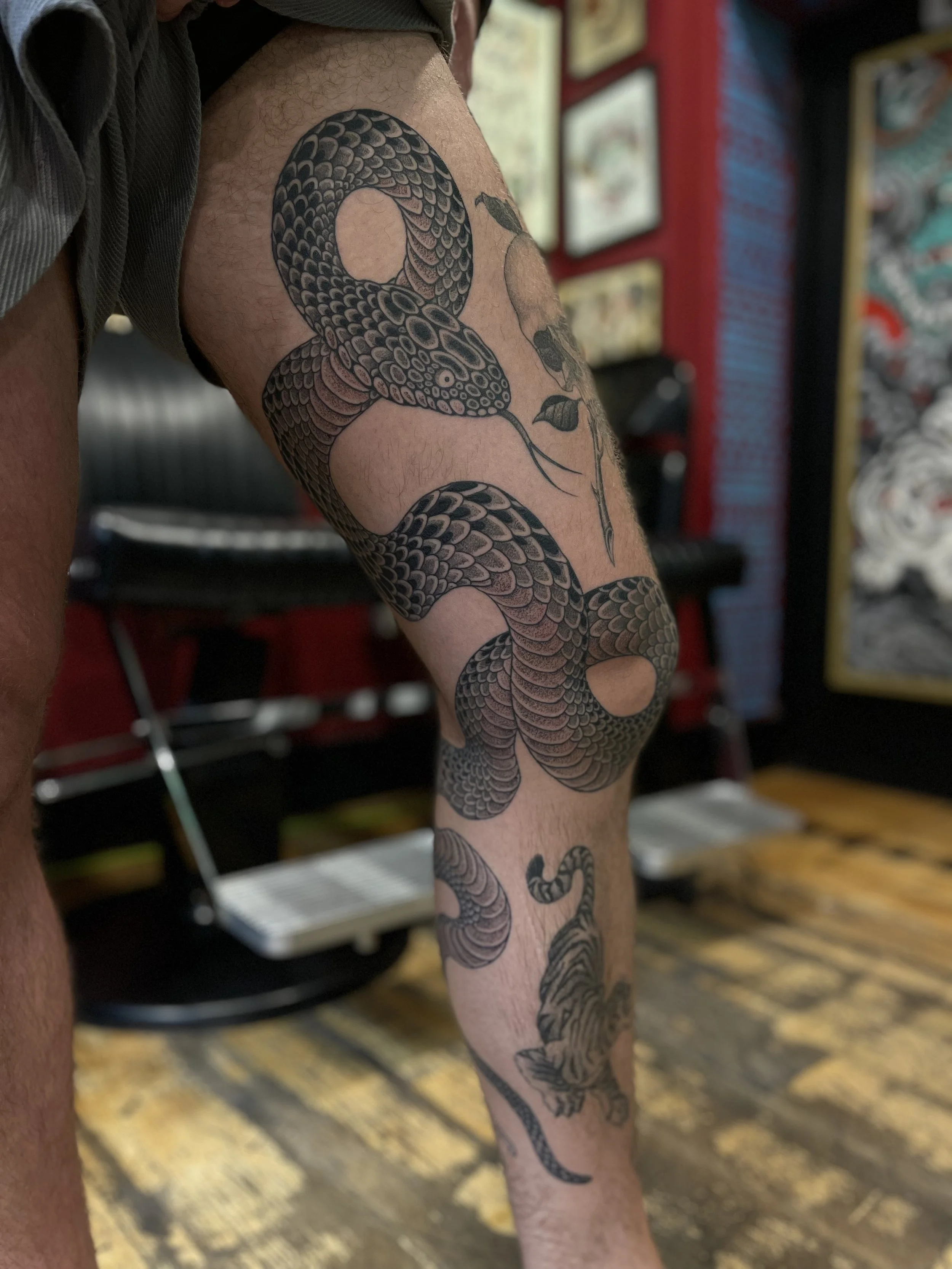 Fine line black and grey Japanese snake on the leg, done at Frith Street Tattoos, Soho, central London.