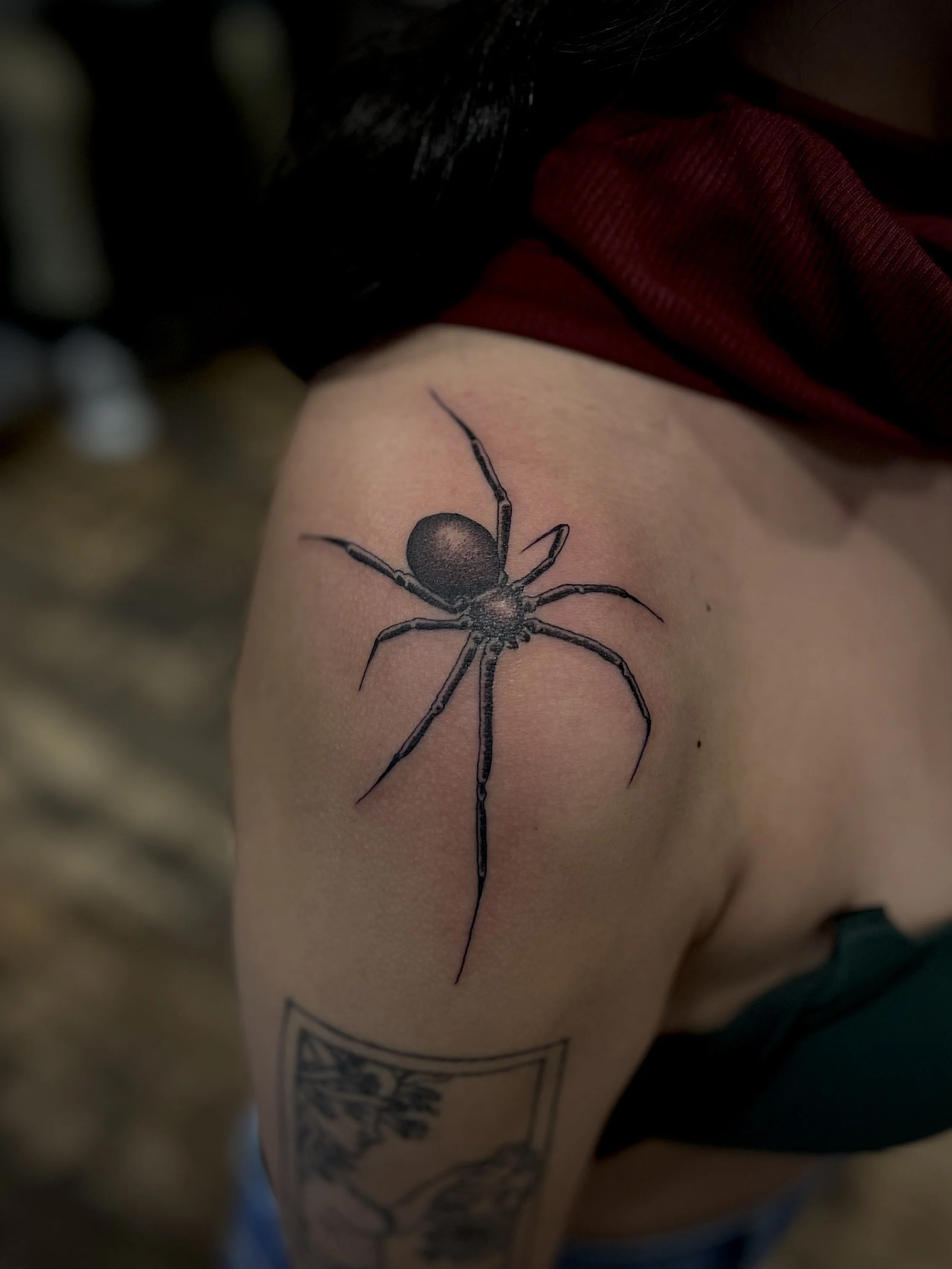 Fine line black spider tattoo on the shoulder, done at Frith Street Tattoos, Soho, central London.