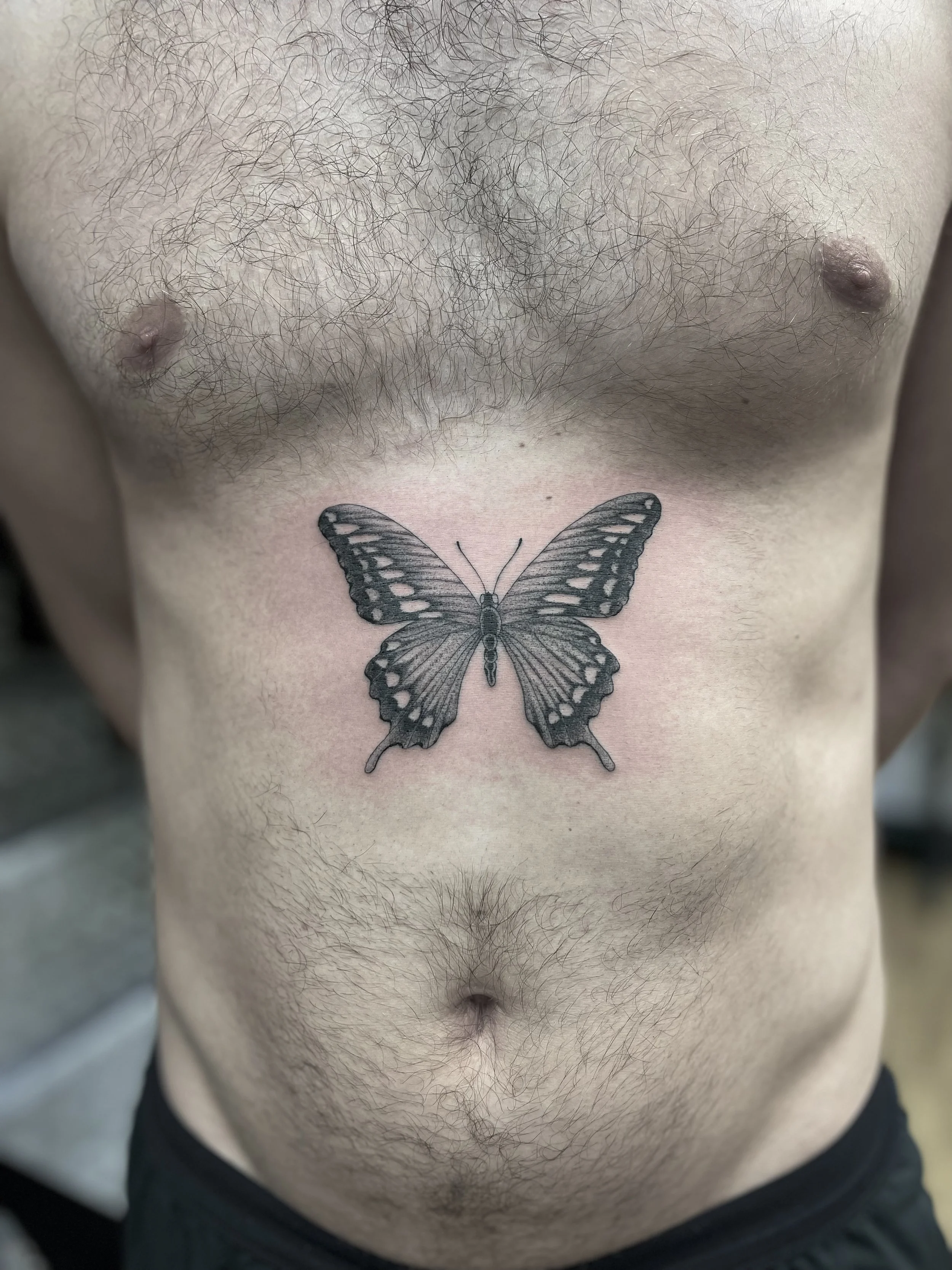 Fine line, black and grey butterfly tattoo on the stomach, done at Frith Street Tattoos, Soho, central London.
