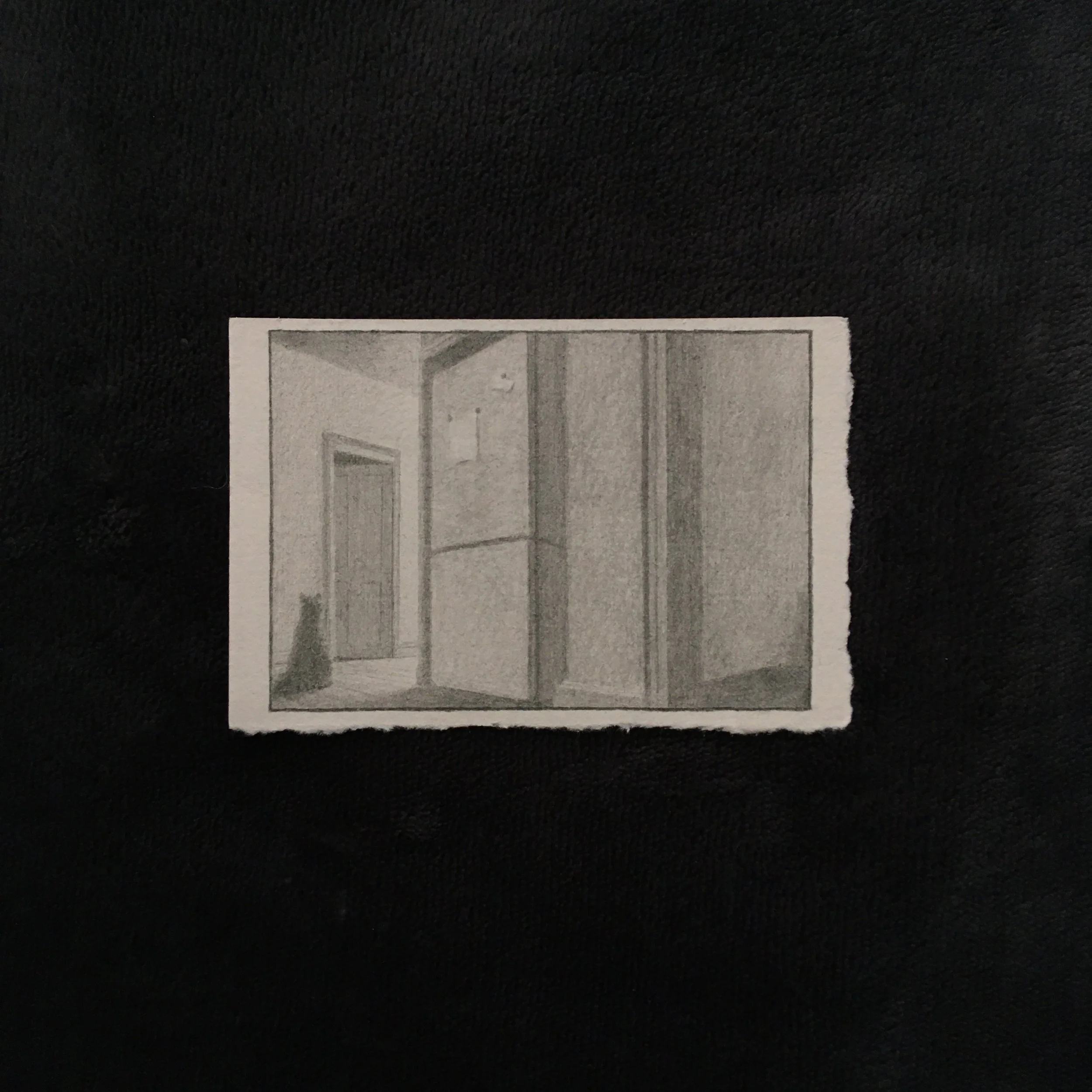 Pencil on paper illustration of a cat walking through a flat.