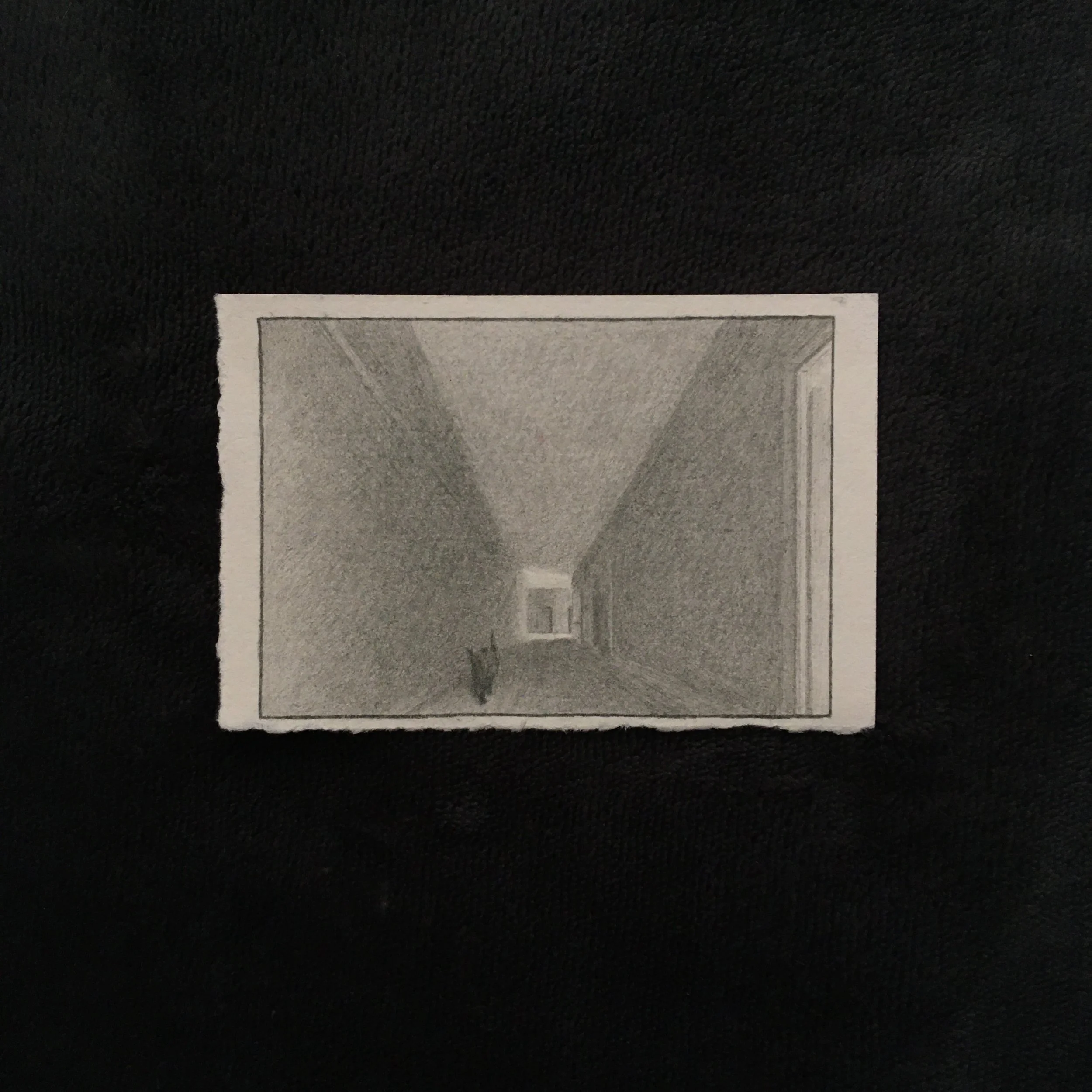 Pencil on paper illustration of a cat walking through a flat.