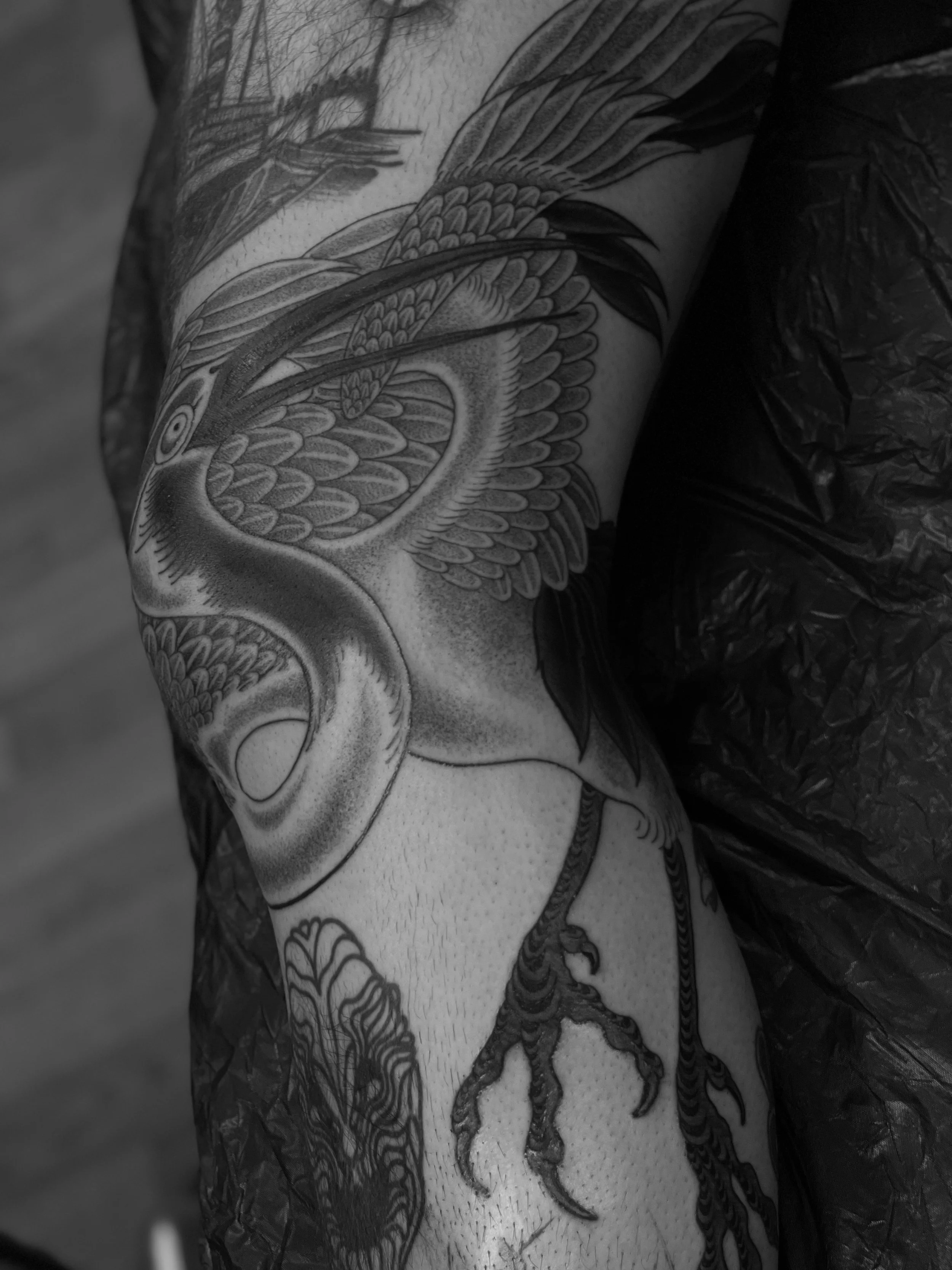 Fine line, black and grey crane tattoo on the leg, done at Frith Street Tattoos, Soho, central London.
