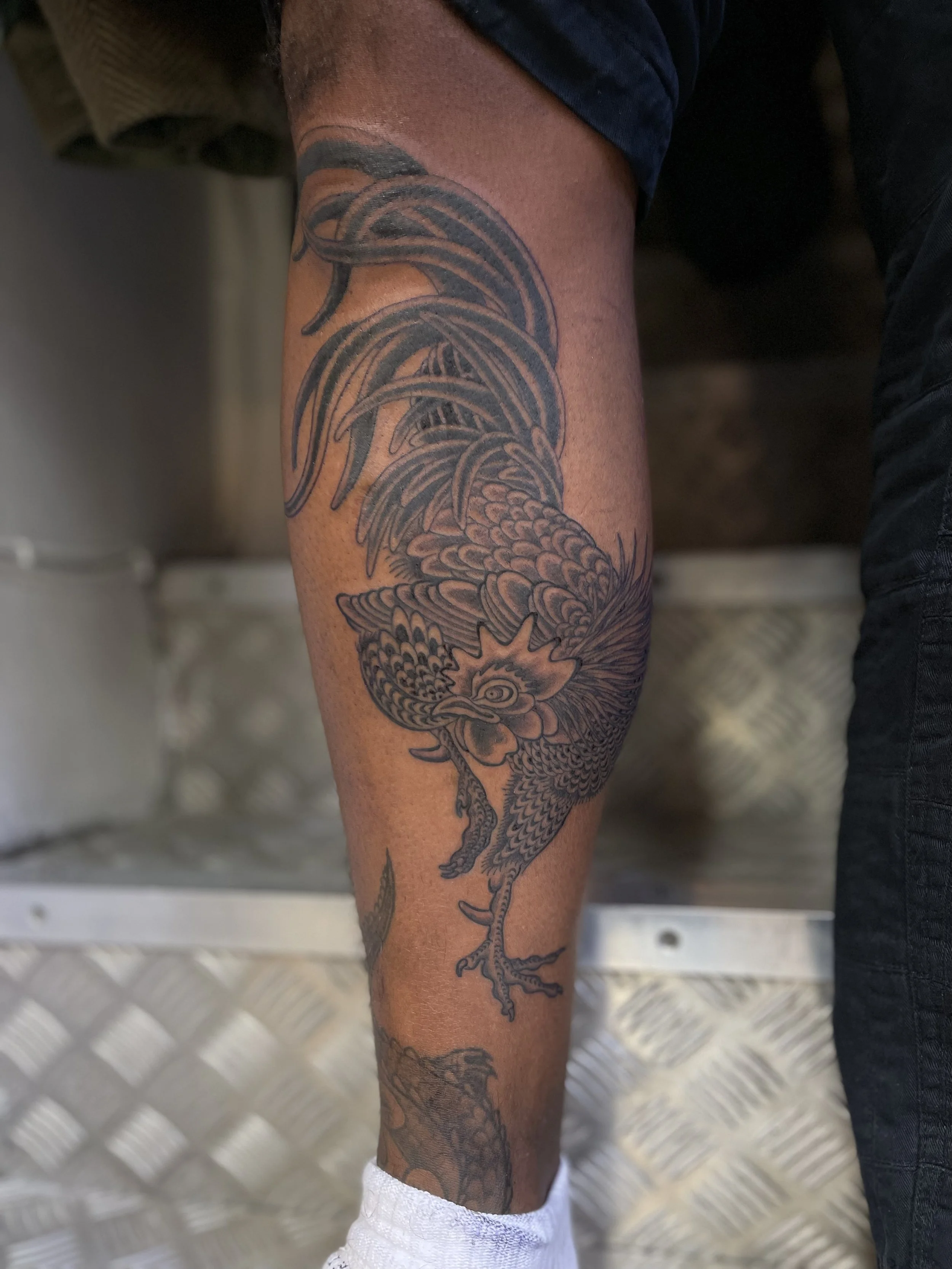Fine line Japanese cockerel tattoo on the leg, done at Frith Street Tattoos, Soho, central London.