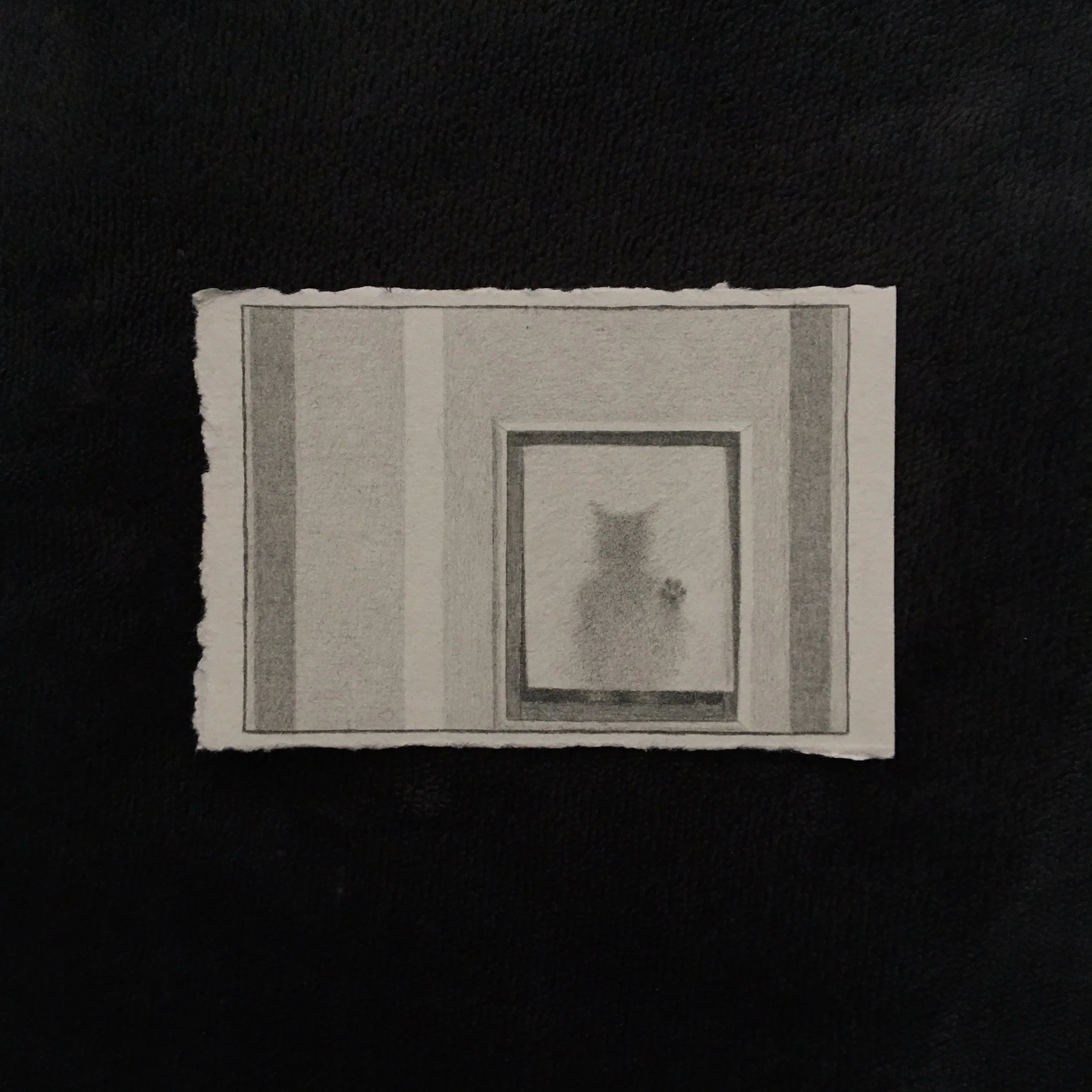 Pencil on paper illustration of a cat walking through a flat.