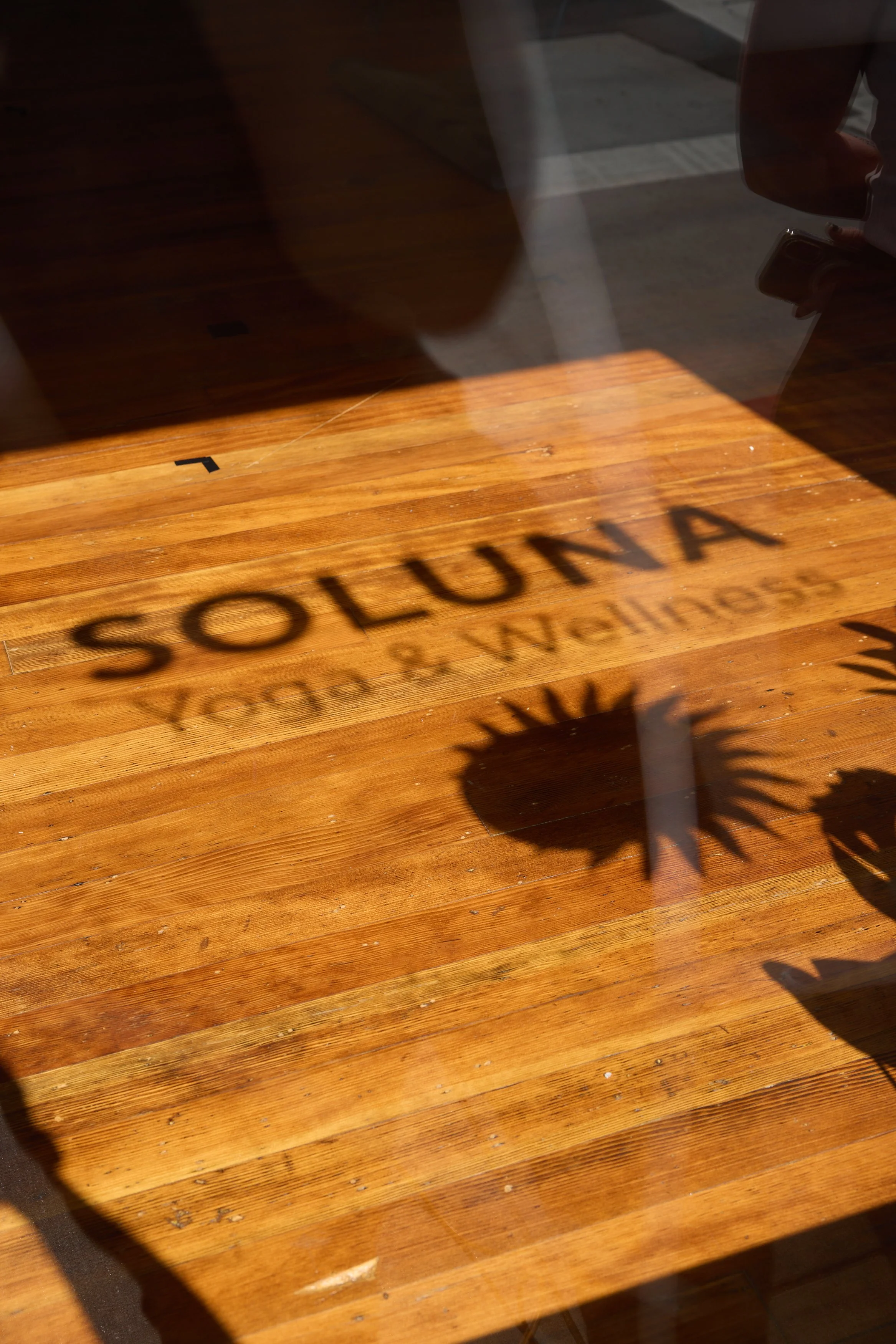 Soluna-009.jpg