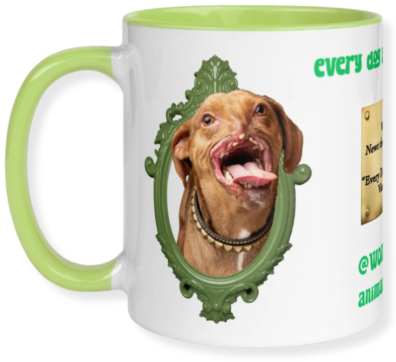 A white mug with a green handle and interior, featuring a photo of a amused dog with its mouth open and tongue out, framed by an ornate green mirror design, with some green text and a gold plaque on the right side.