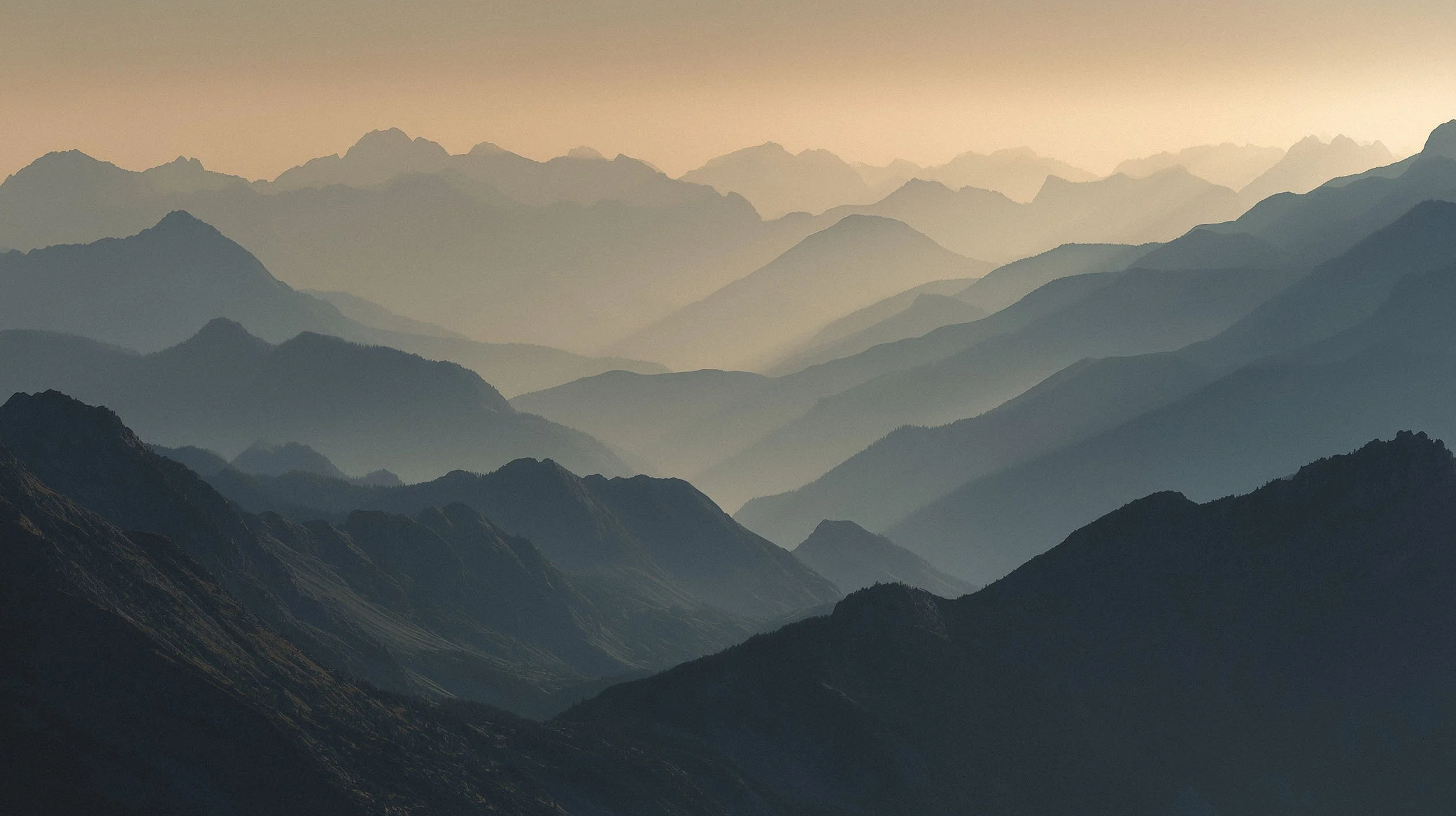 Leaving Home with Undiagnosed Autism