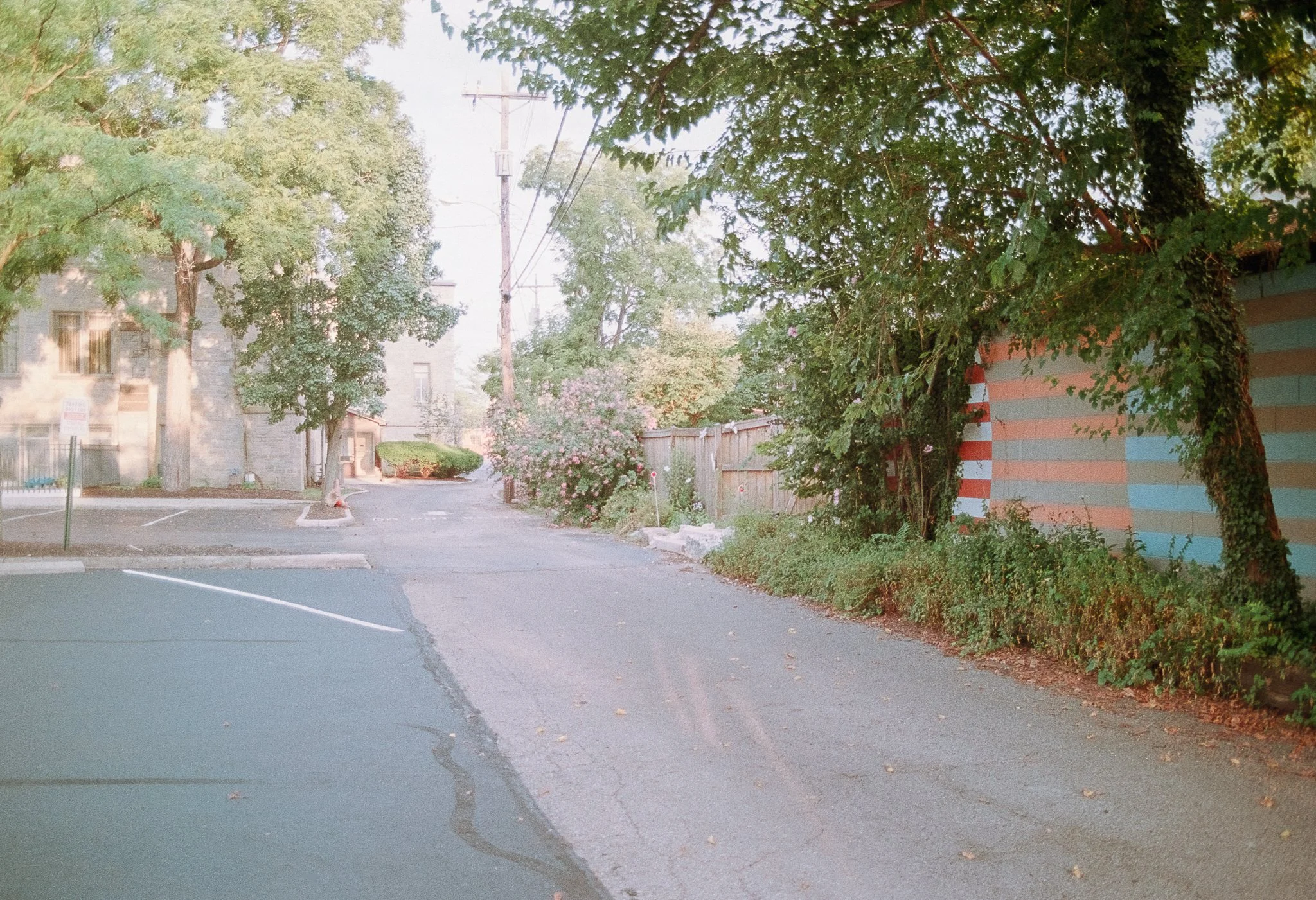 Stipes - Kodak Gold 200-1.jpg