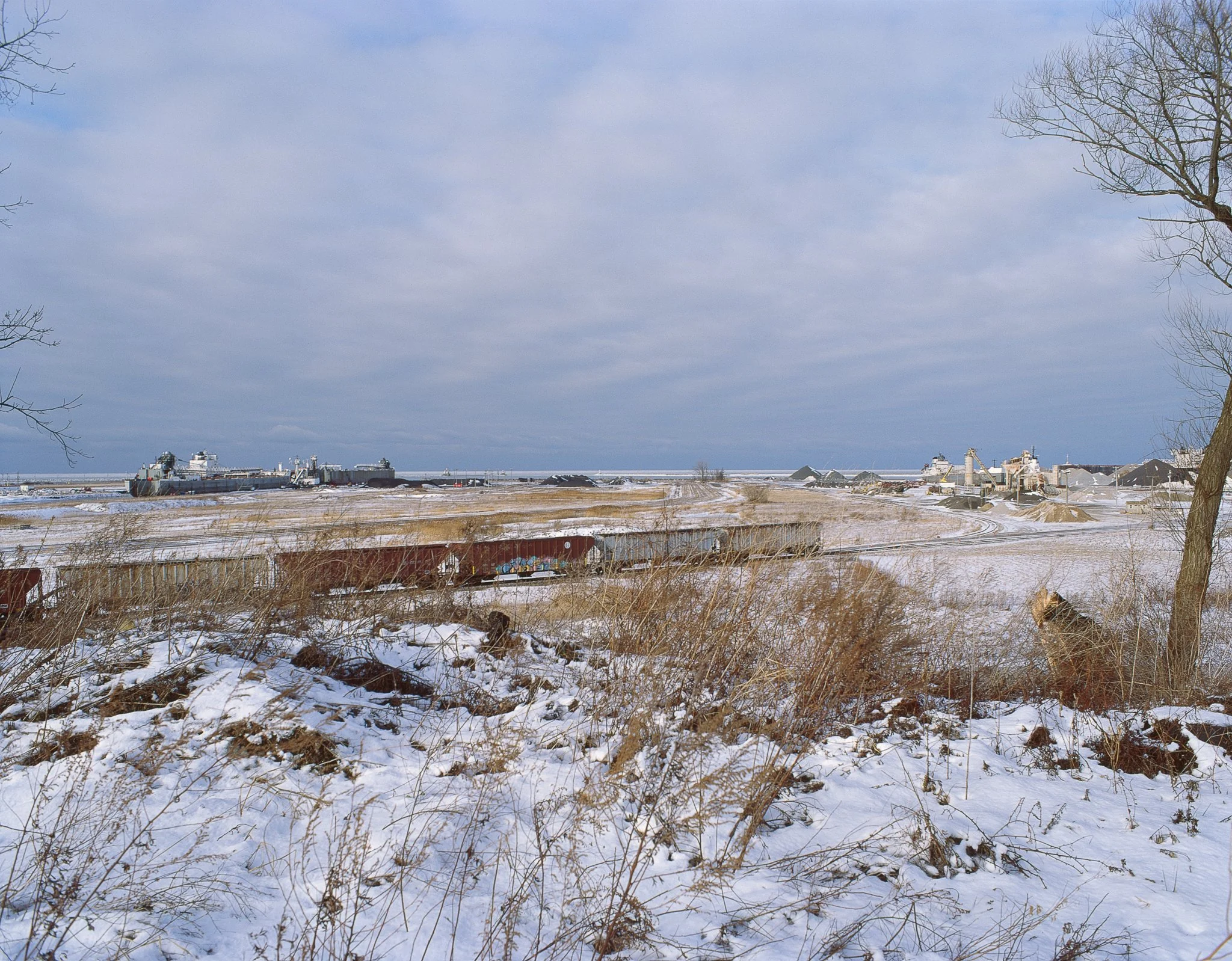 Freighter-Train Yard - Painesville 1.17.25 E100-1.jpg
