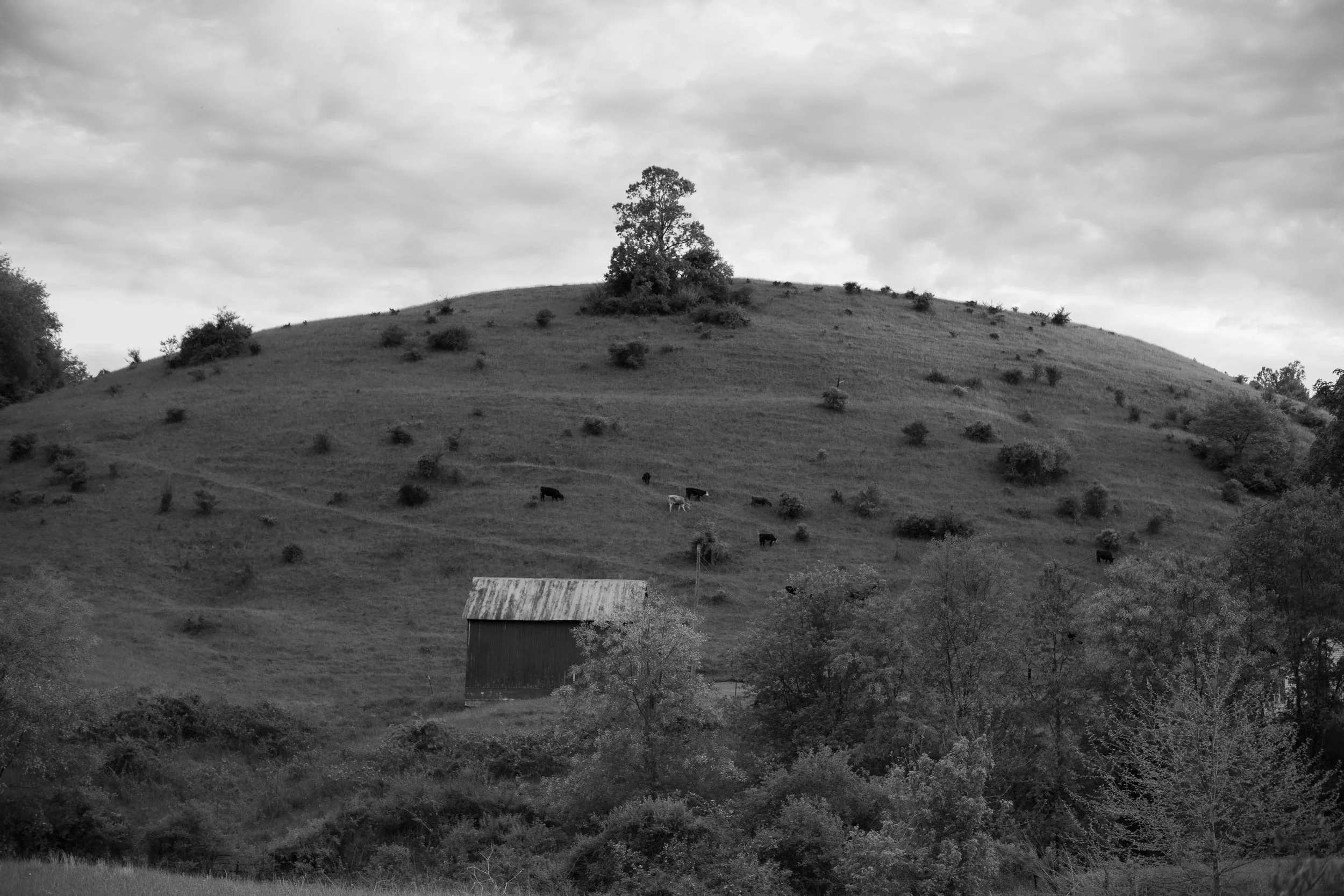 May 16th Elkins West Virginia-14.jpg